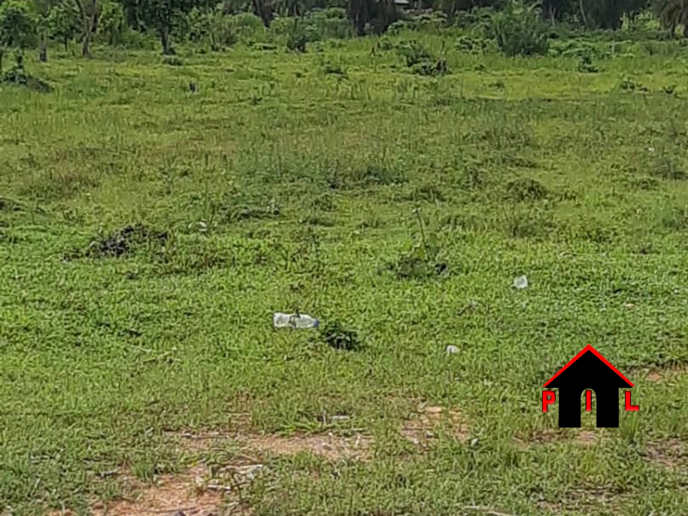 Agricultural Land for sale in Nkozi Mpigi