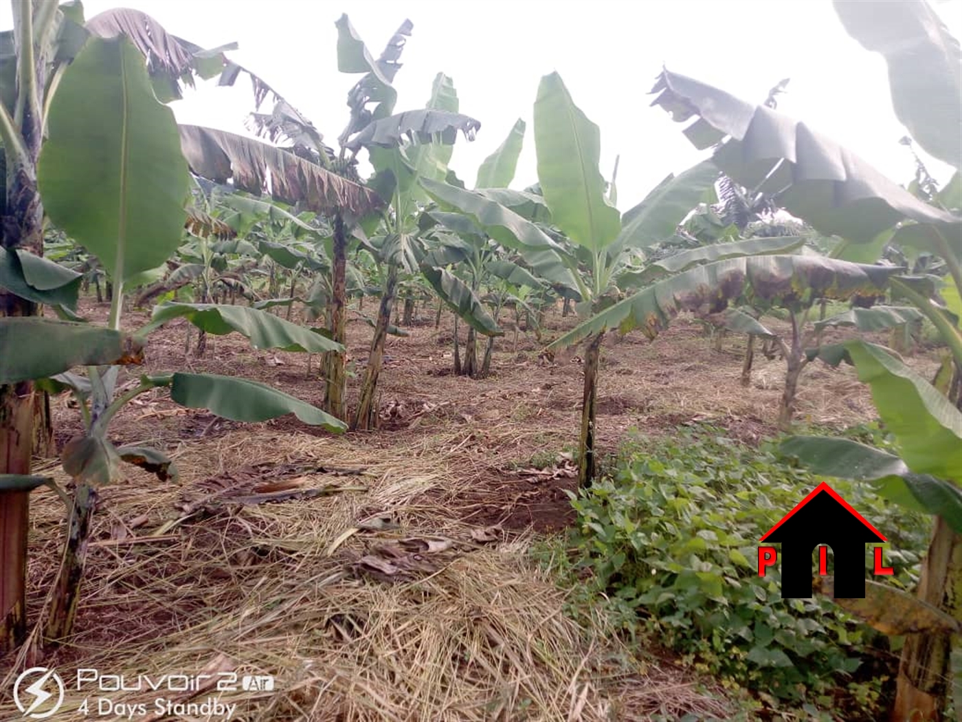 Agricultural Land for sale in Kassanda Mubende