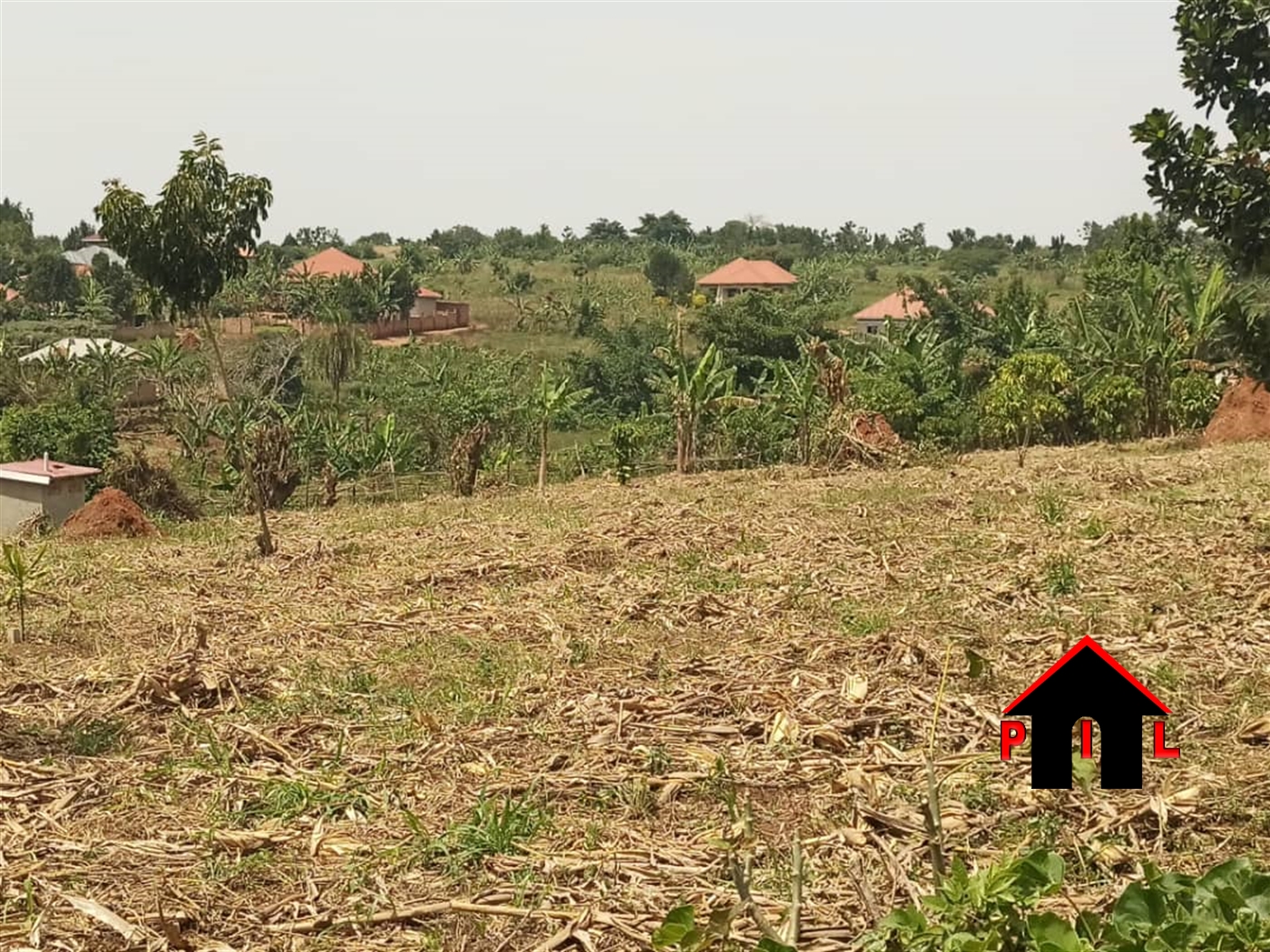 Agricultural Land for sale in Ngira Kiruhura