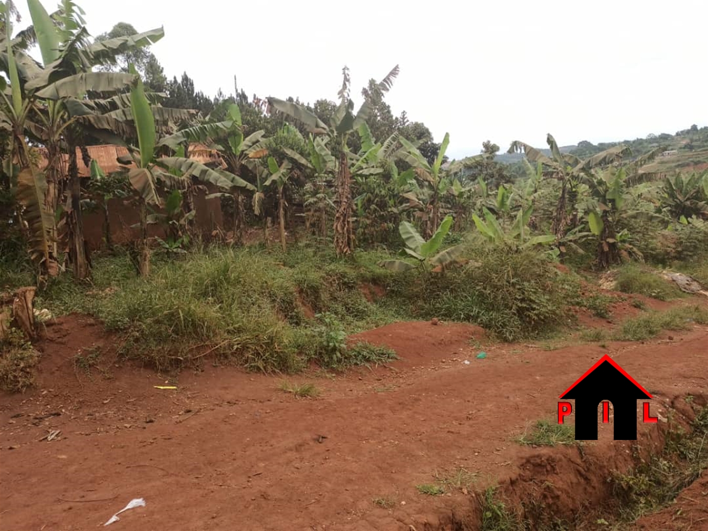 Agricultural Land for sale in Ngira Kiruhura