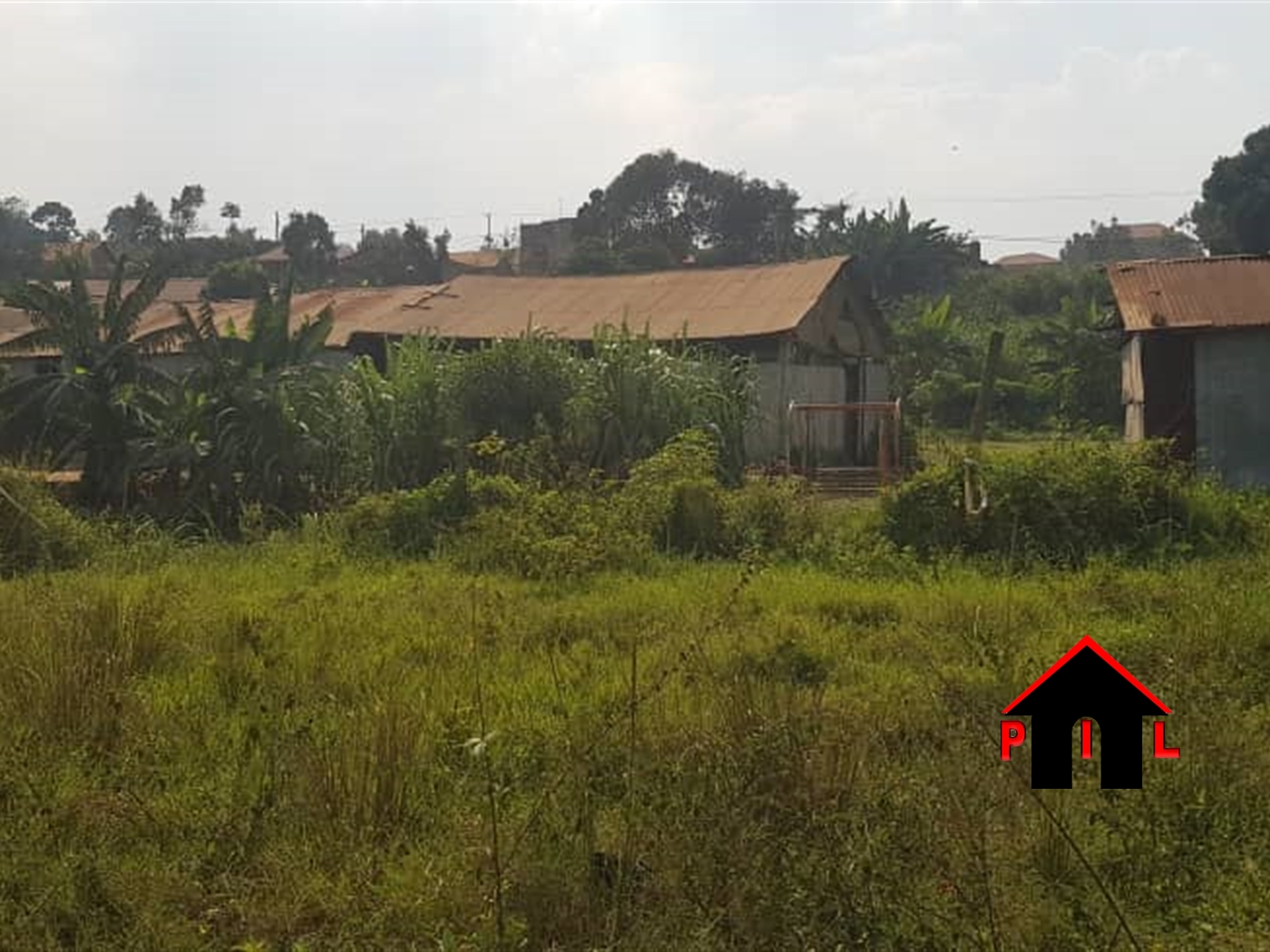 Agricultural Land for sale in Buremba Kiruhura