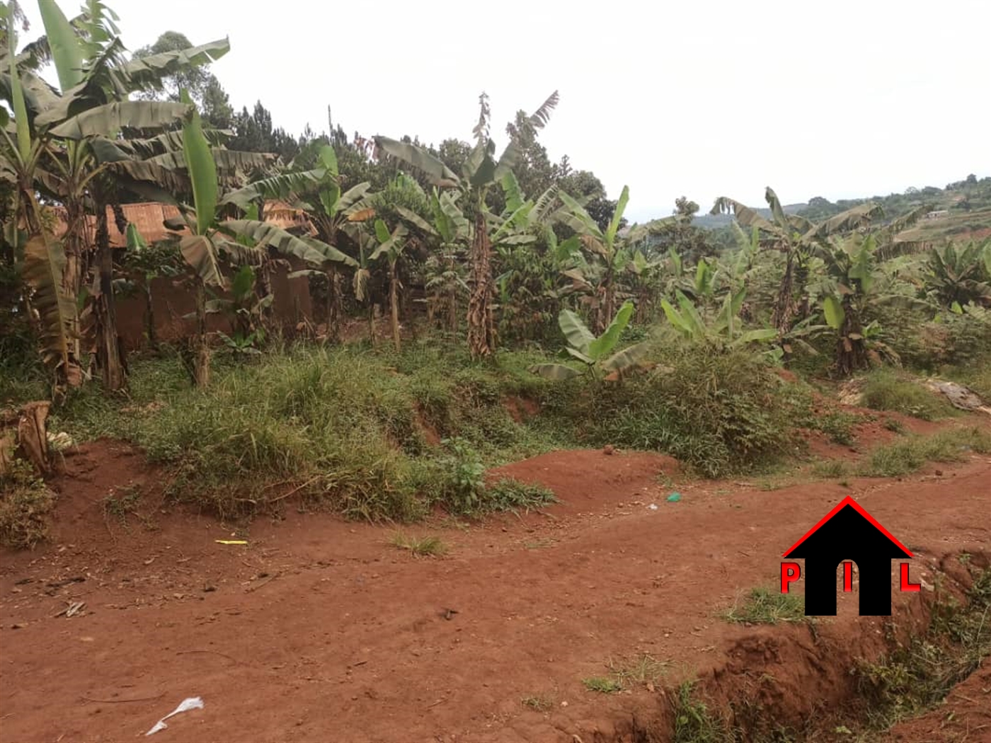 Agricultural Land for sale in Bugarihe Mbarara