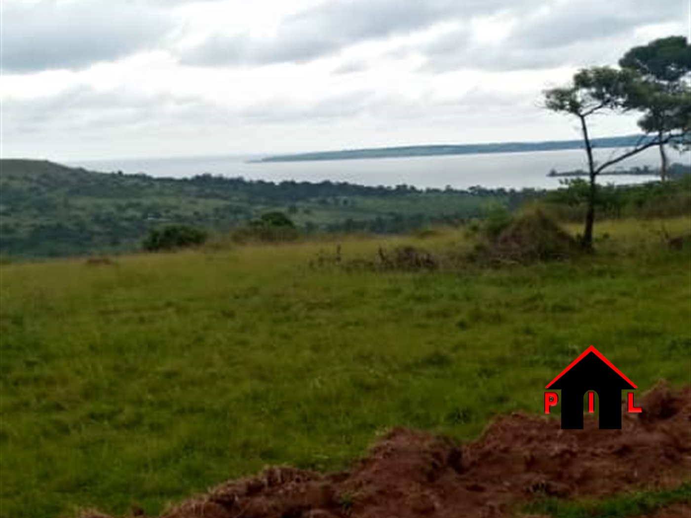 Agricultural Land for sale in Kisigula Buyikwe