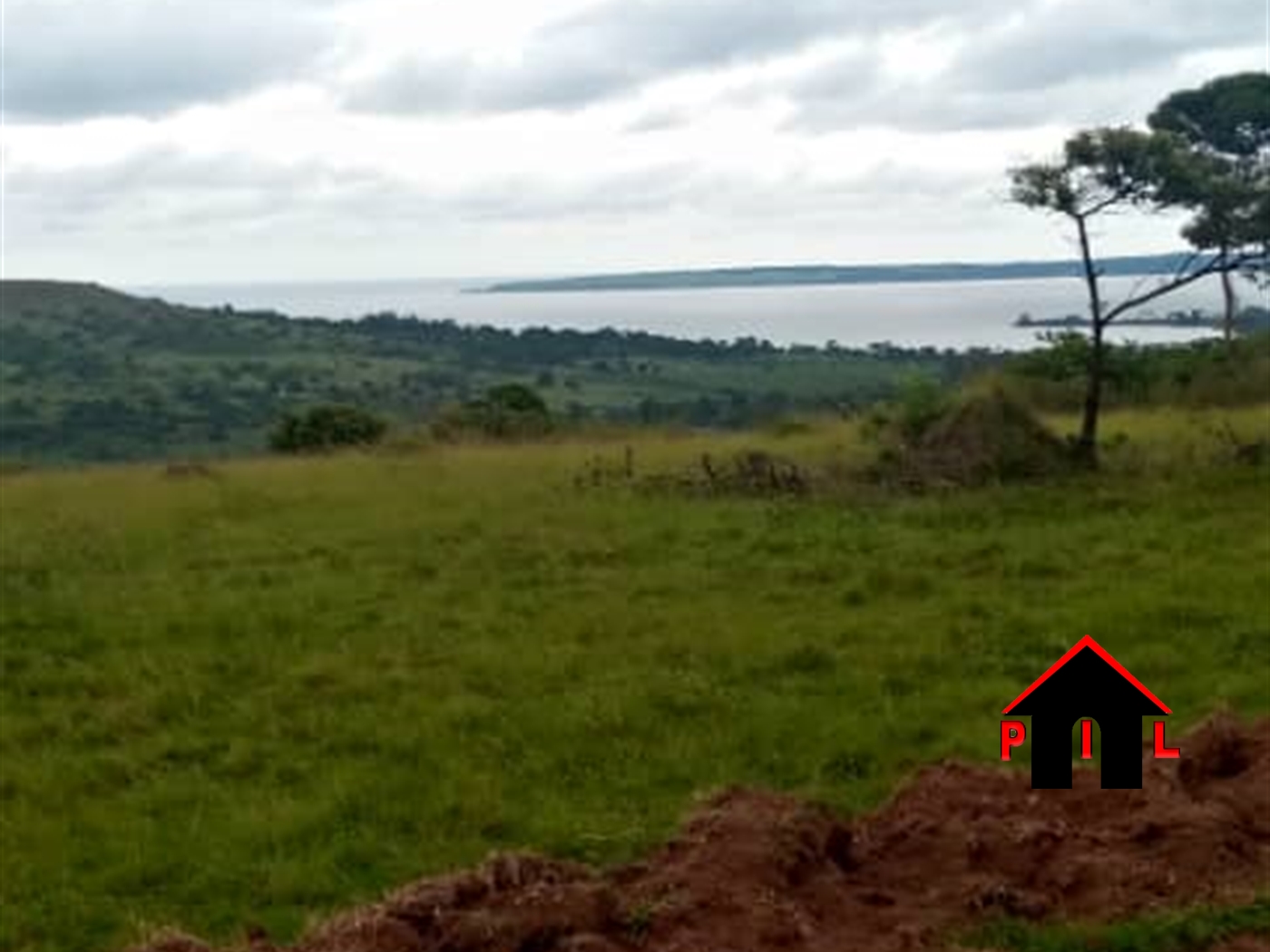 Agricultural Land for sale in Kisigula Buyikwe