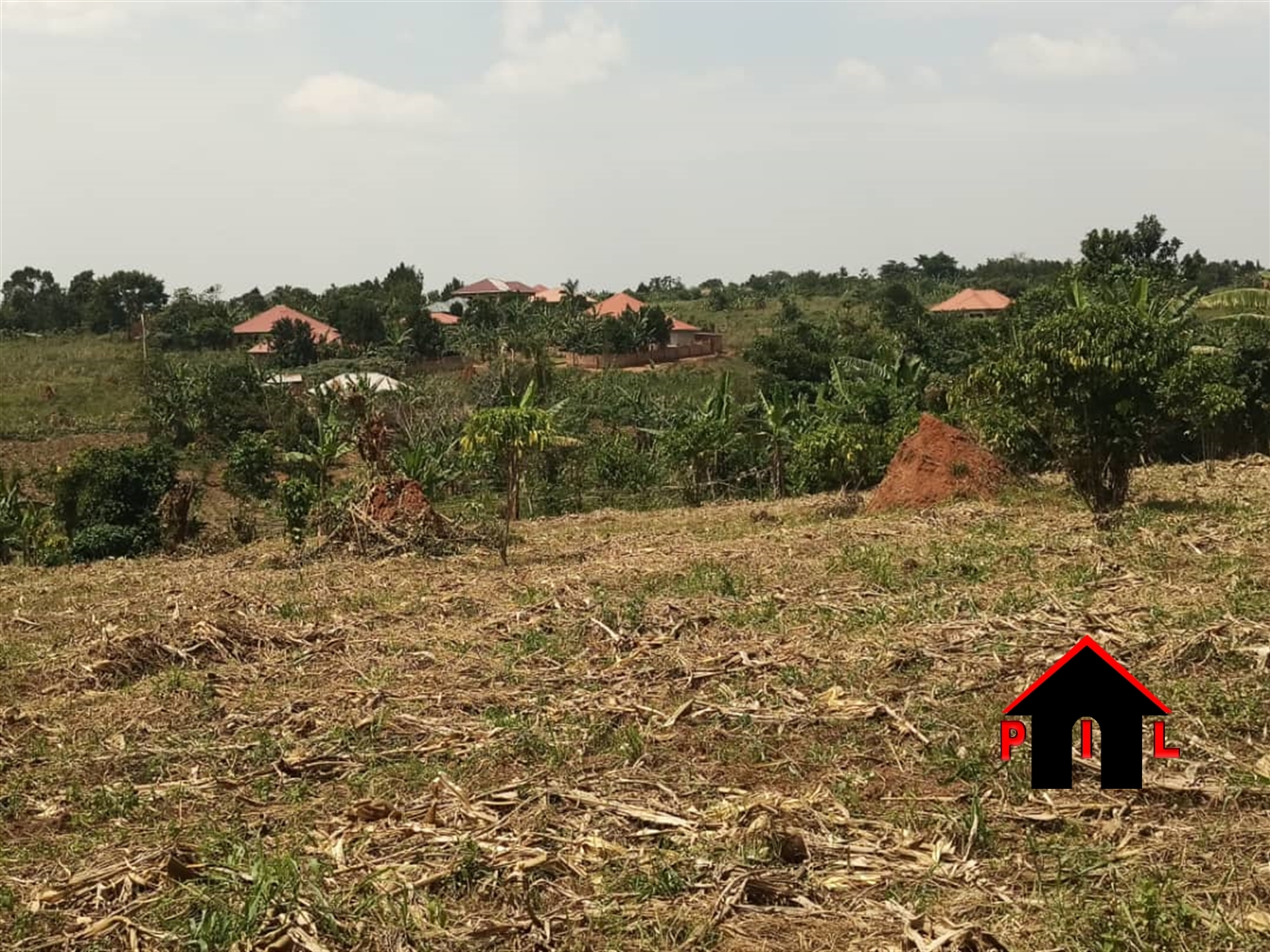 Agricultural Land for sale in Nshara Kiruhura