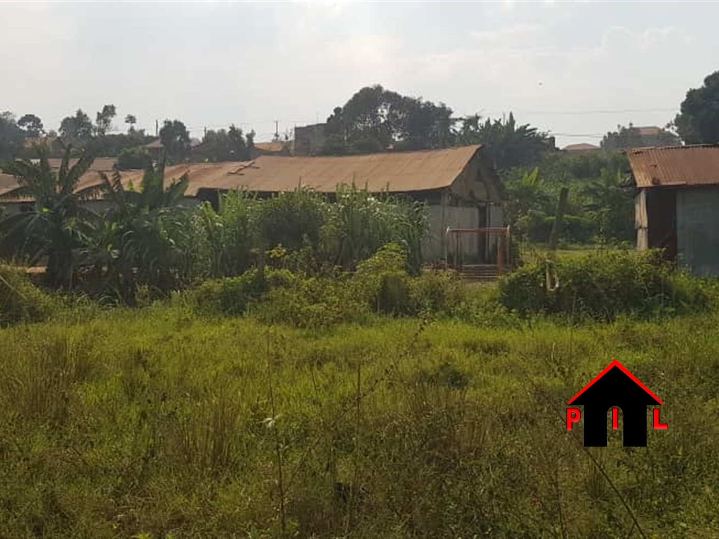 Agricultural Land for sale in Nshara Kiruhura