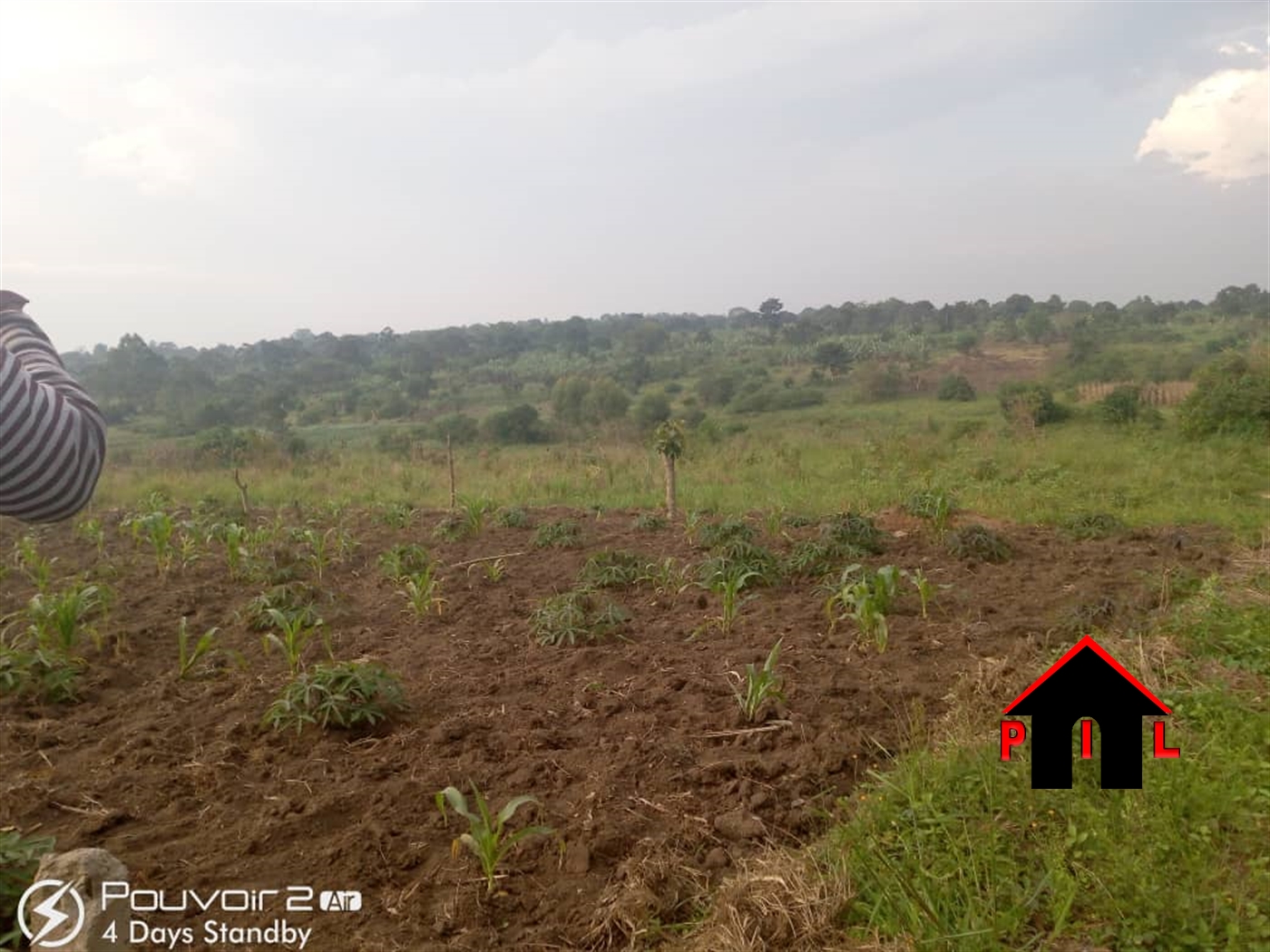 Agricultural Land for sale in Kyapa Mbarara