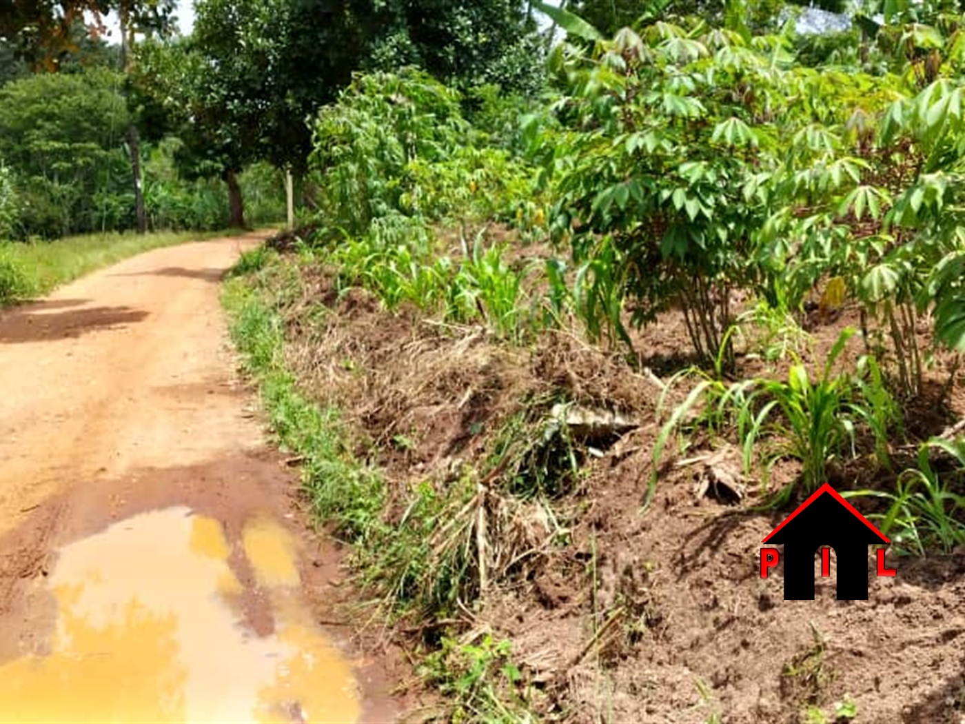 Residential Land for sale in Mpooma Mukono