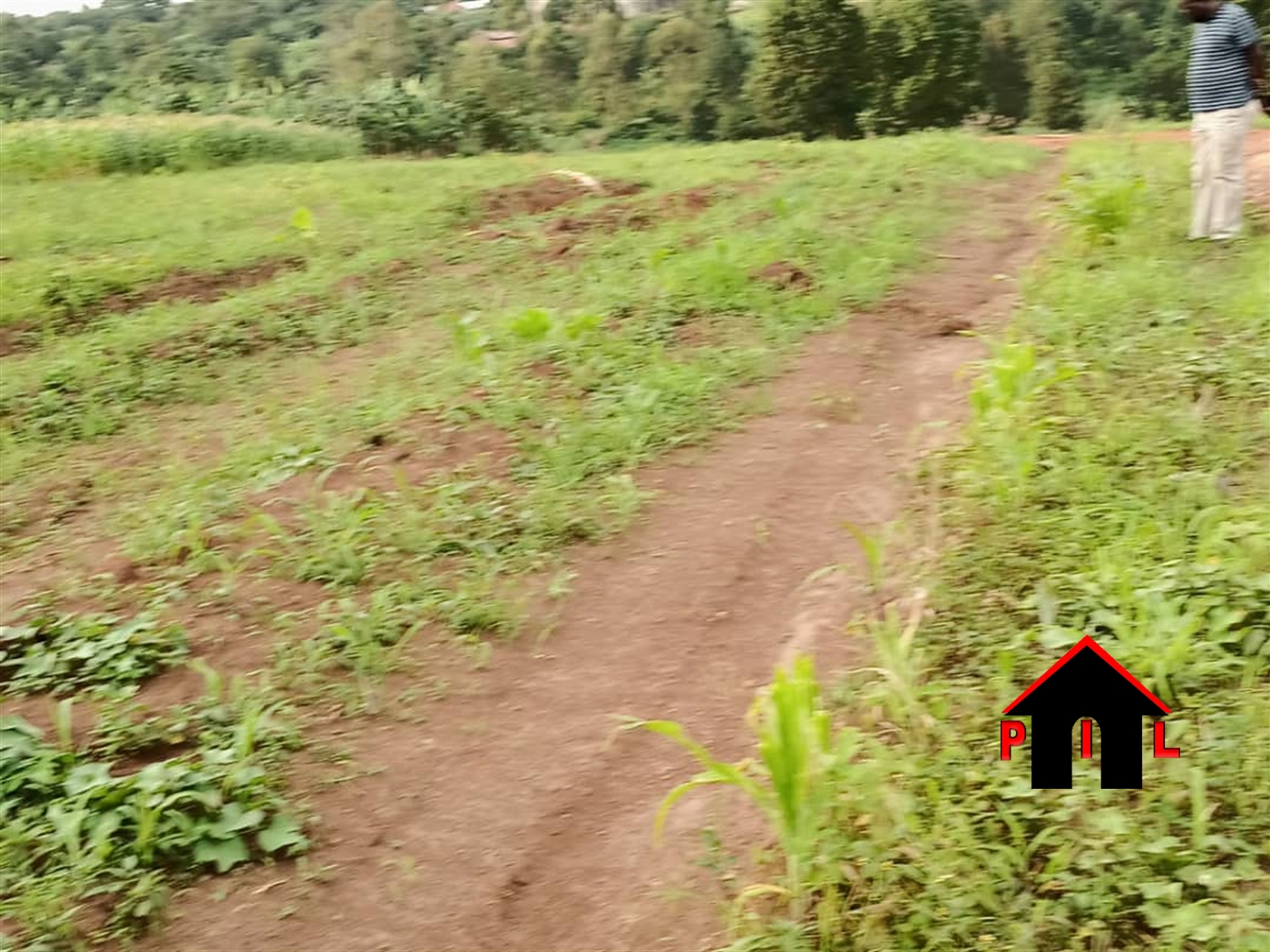 Agricultural Land for sale in Kanyaryeru Kiruhura