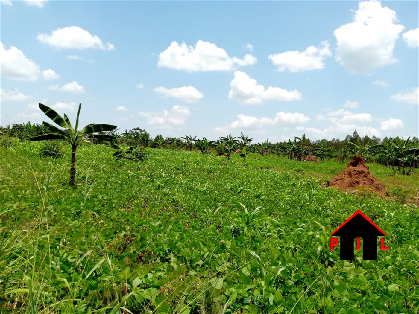 Agricultural Land for sale in Atiak Amuru