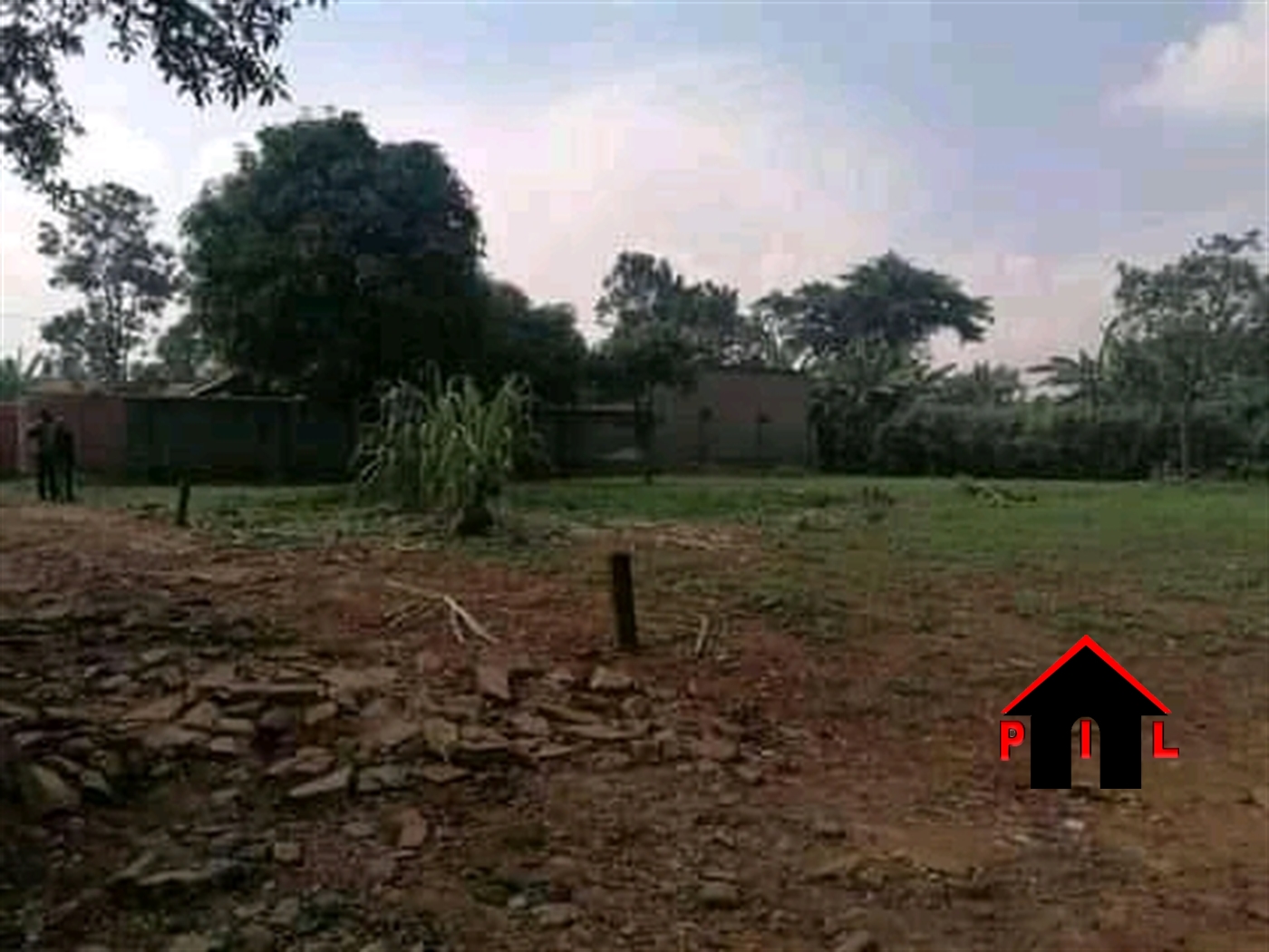 Agricultural Land for sale in Kamugabe Mubende