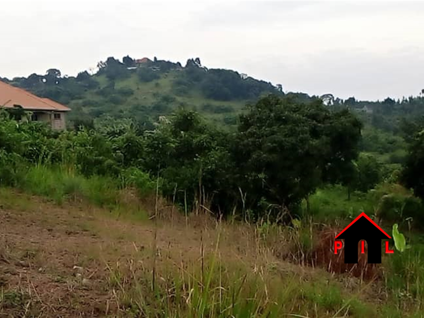 Agricultural Land for sale in Madudu Mubende