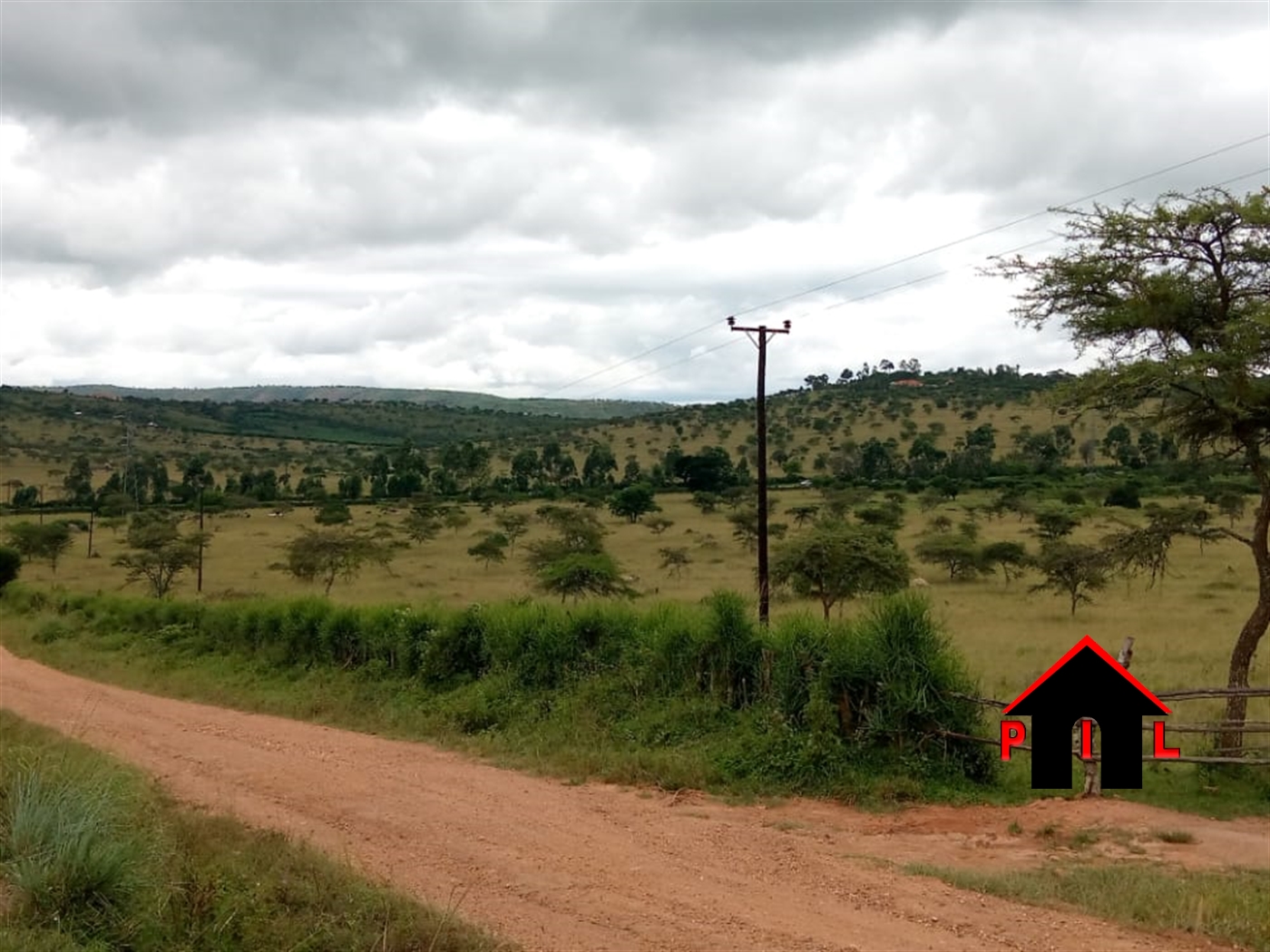 Agricultural Land for sale in Kiyuuni Mubende