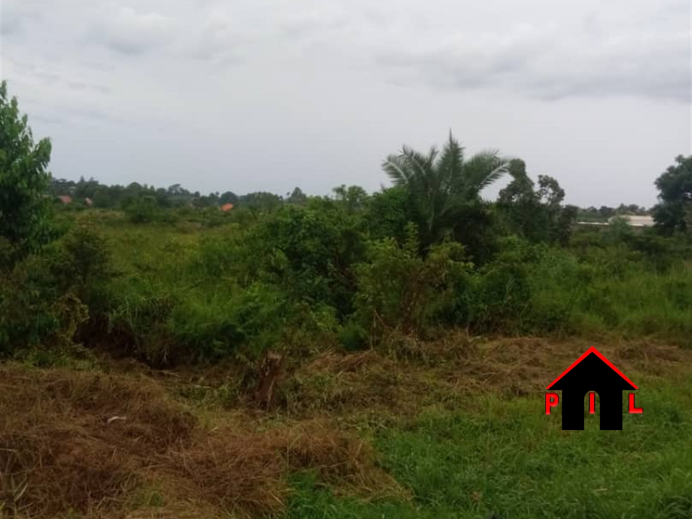 Commercial Land for sale in Nabaale Mukono