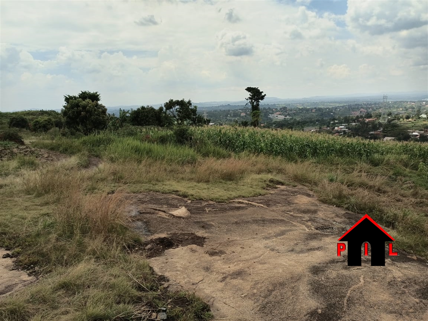 Agricultural Land for sale in Kidokolo Buyikwe