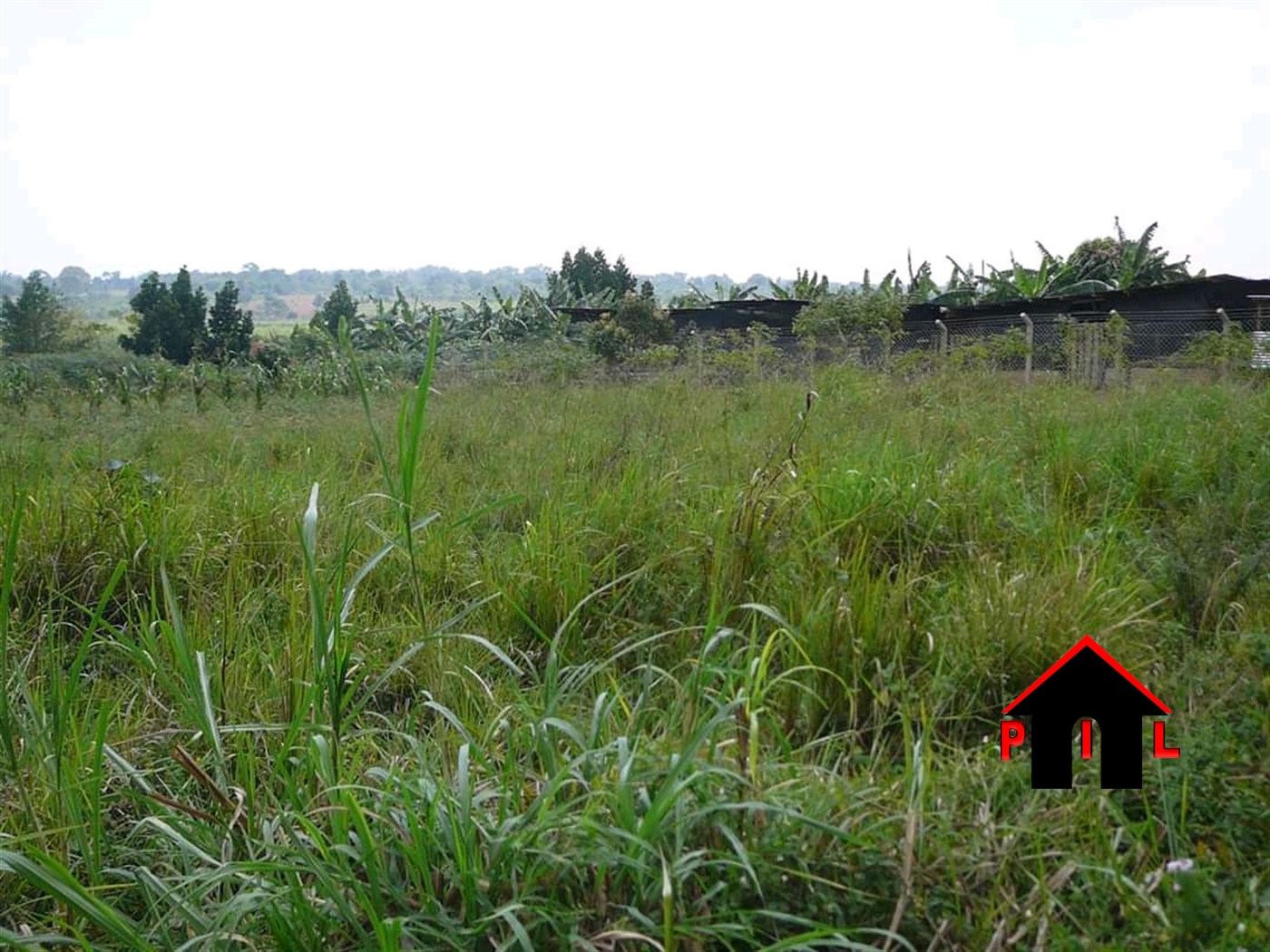 Agricultural Land for sale in Naggojje Mukono
