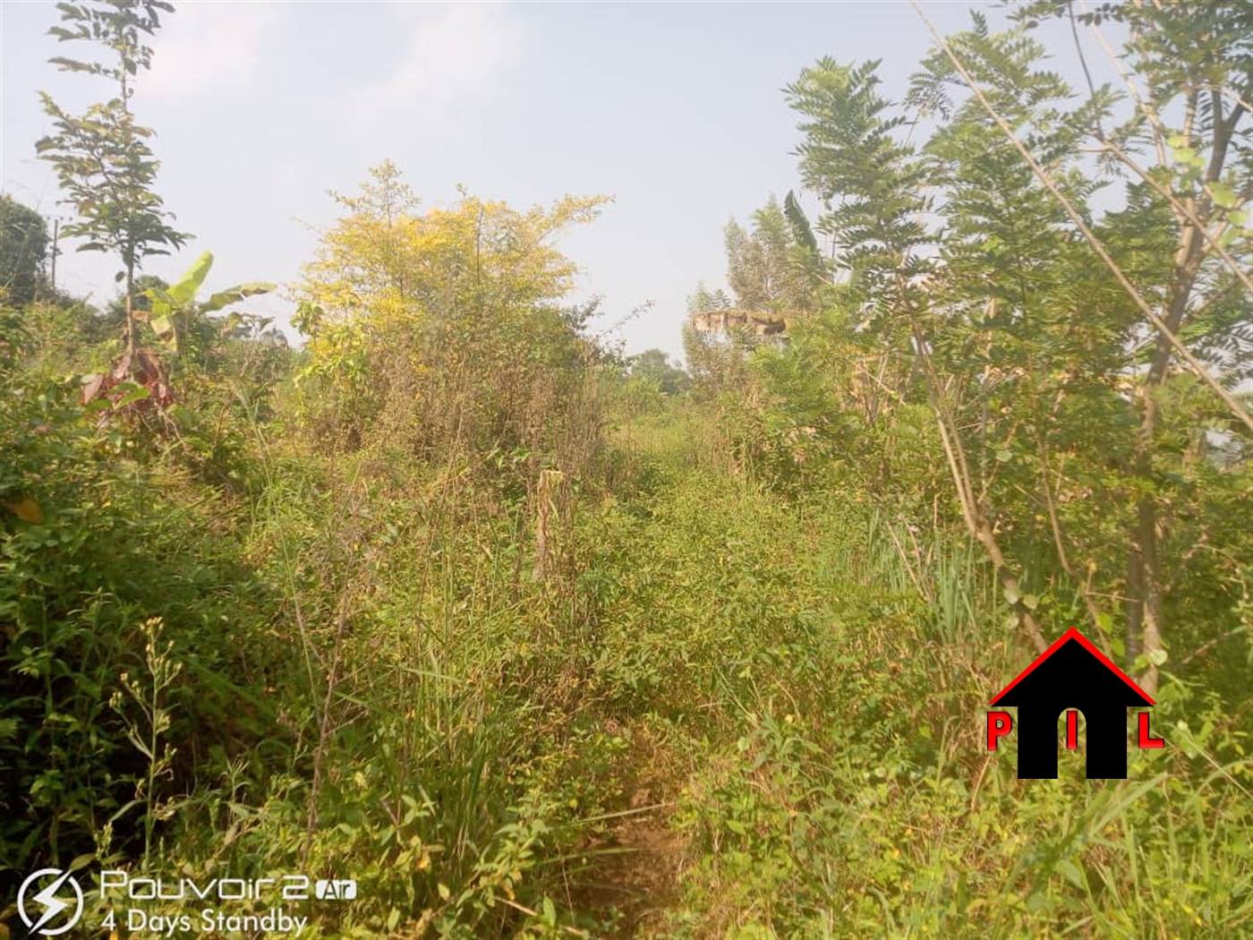 Agricultural Land for sale in Lukaya Kalungu