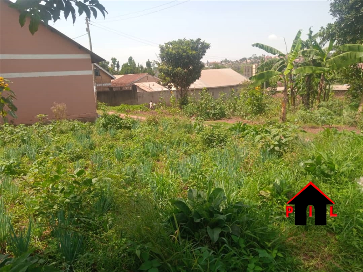 Residential Land for sale in Buddugala Mukono