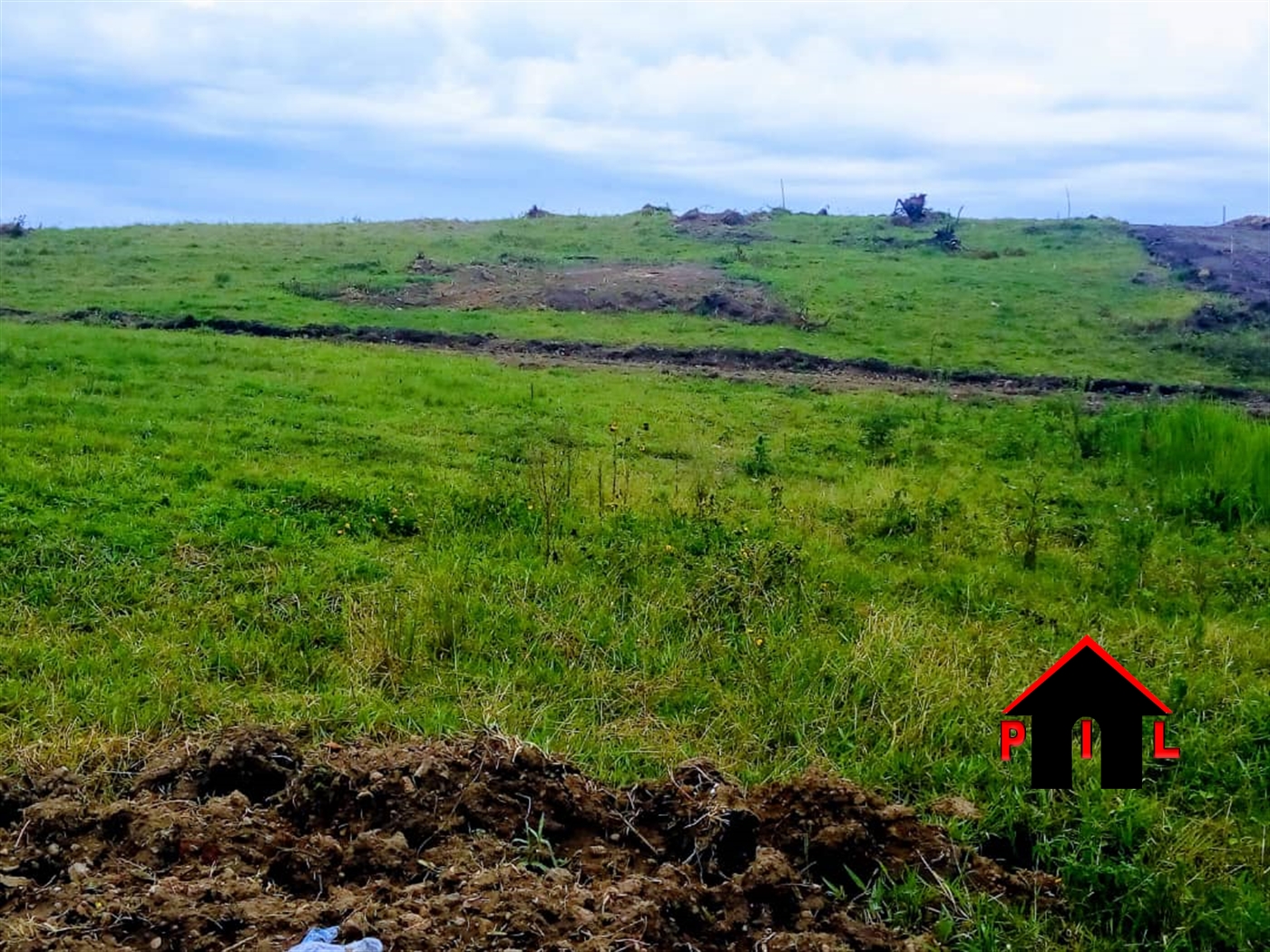 Agricultural Land for sale in Ssisa Wakiso