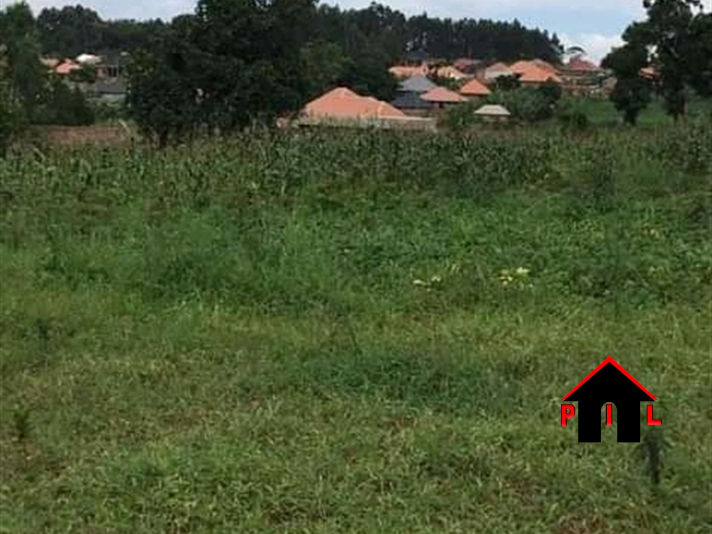 Residential Land for sale in Kiwango Mukono