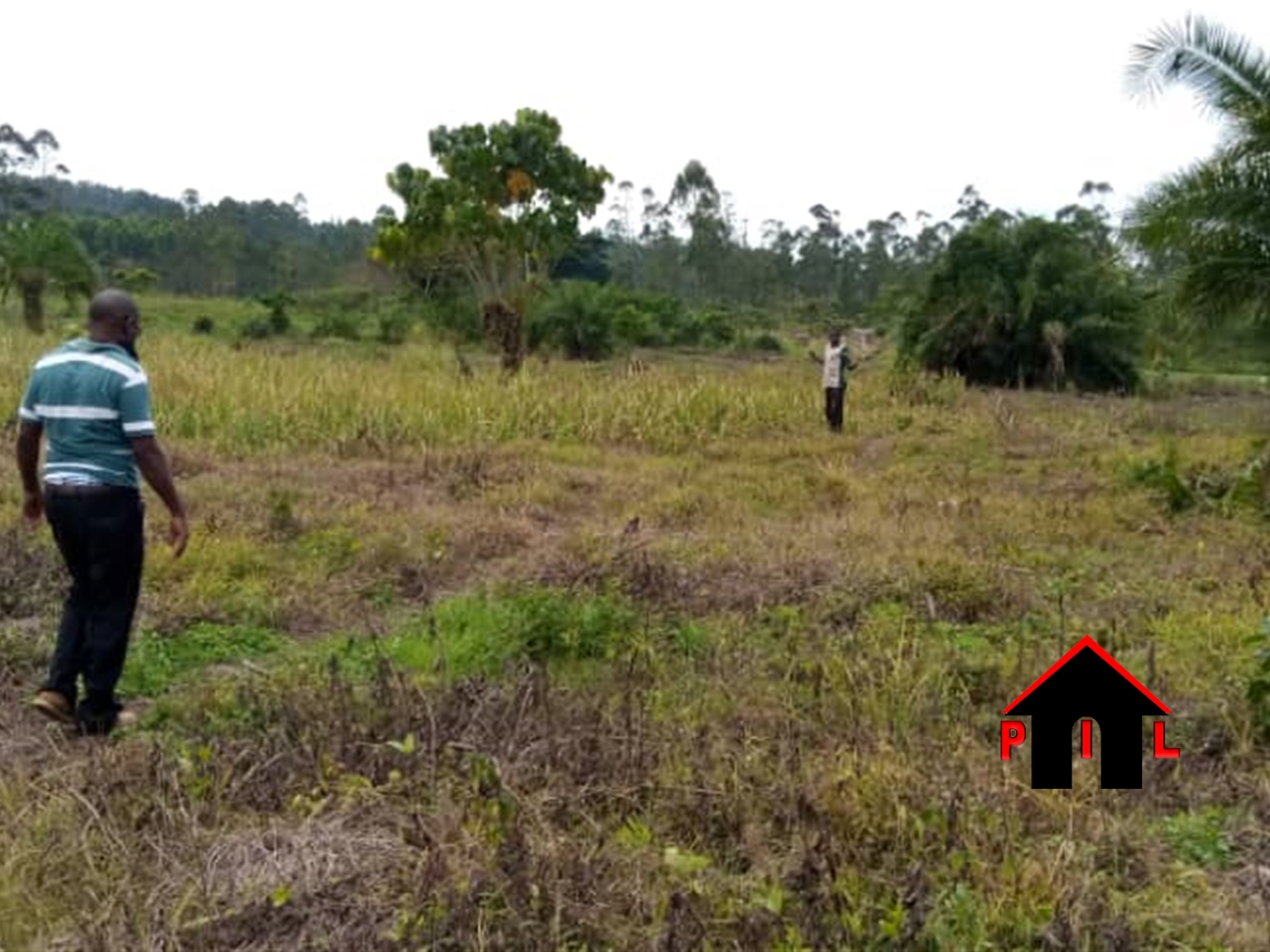 Agricultural Land for sale in Nangwa Mukono