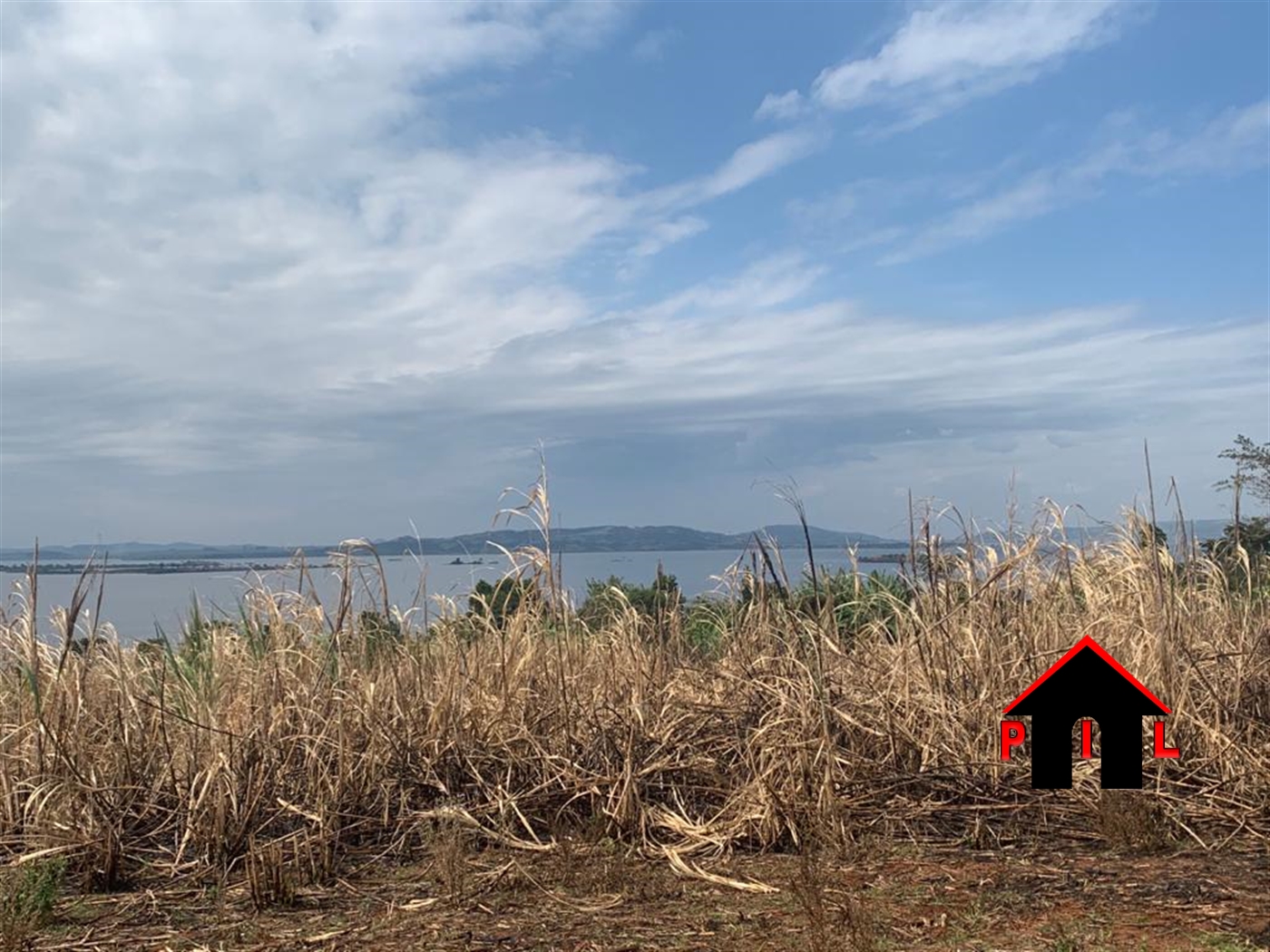 Agricultural Land for sale in Jinja1 Jinja