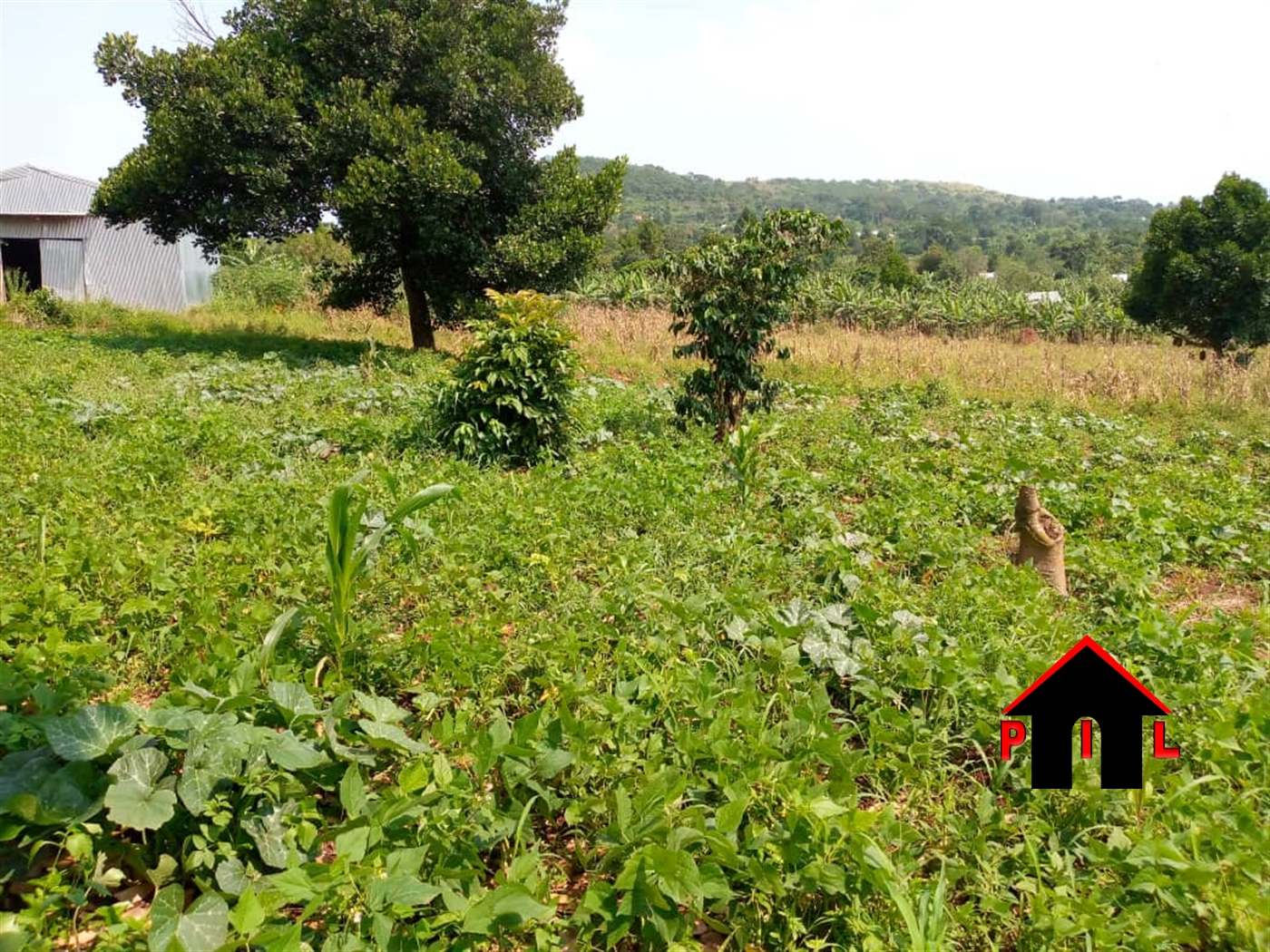 Residential Land for sale in Kalambi Wakiso