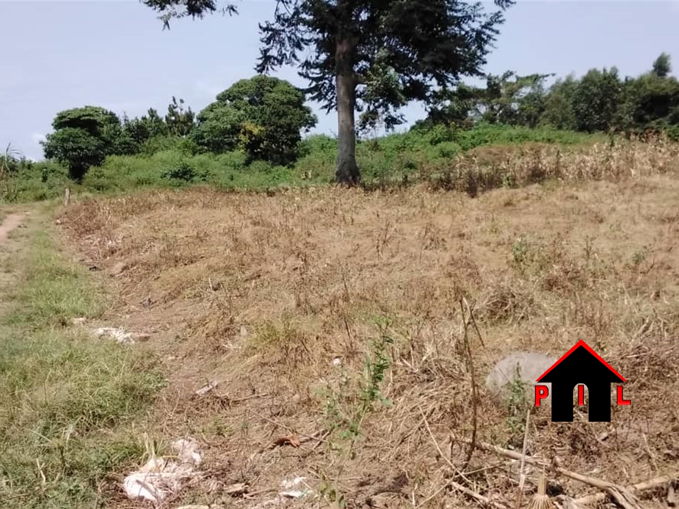 Residential Land for sale in Busiika Wakiso