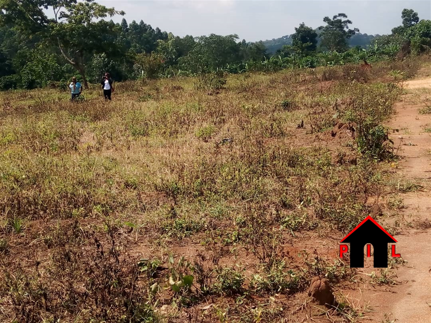 Agricultural Land for sale in Kyabazaala Mukono