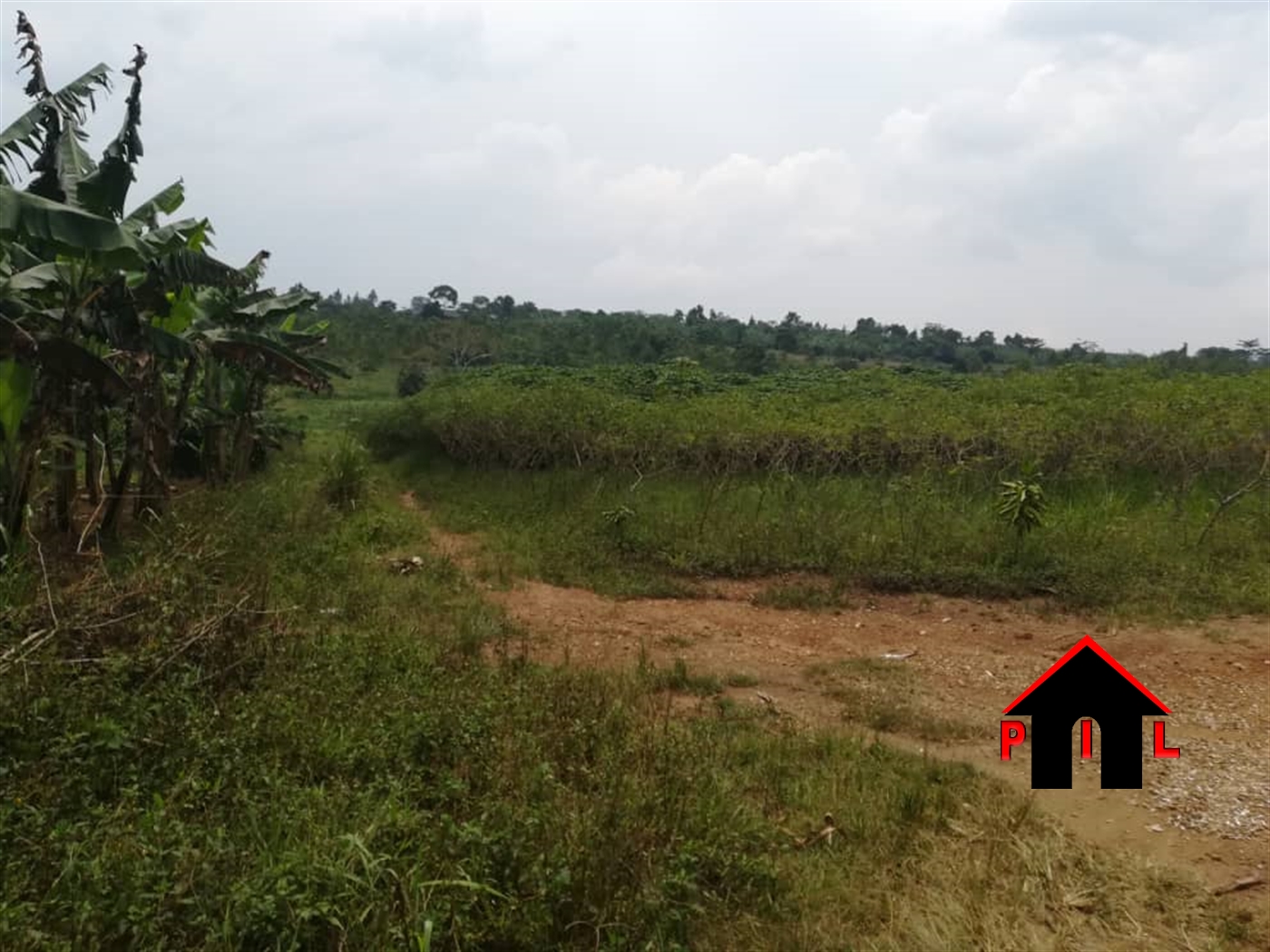 Agricultural Land for sale in Mazzi Luweero