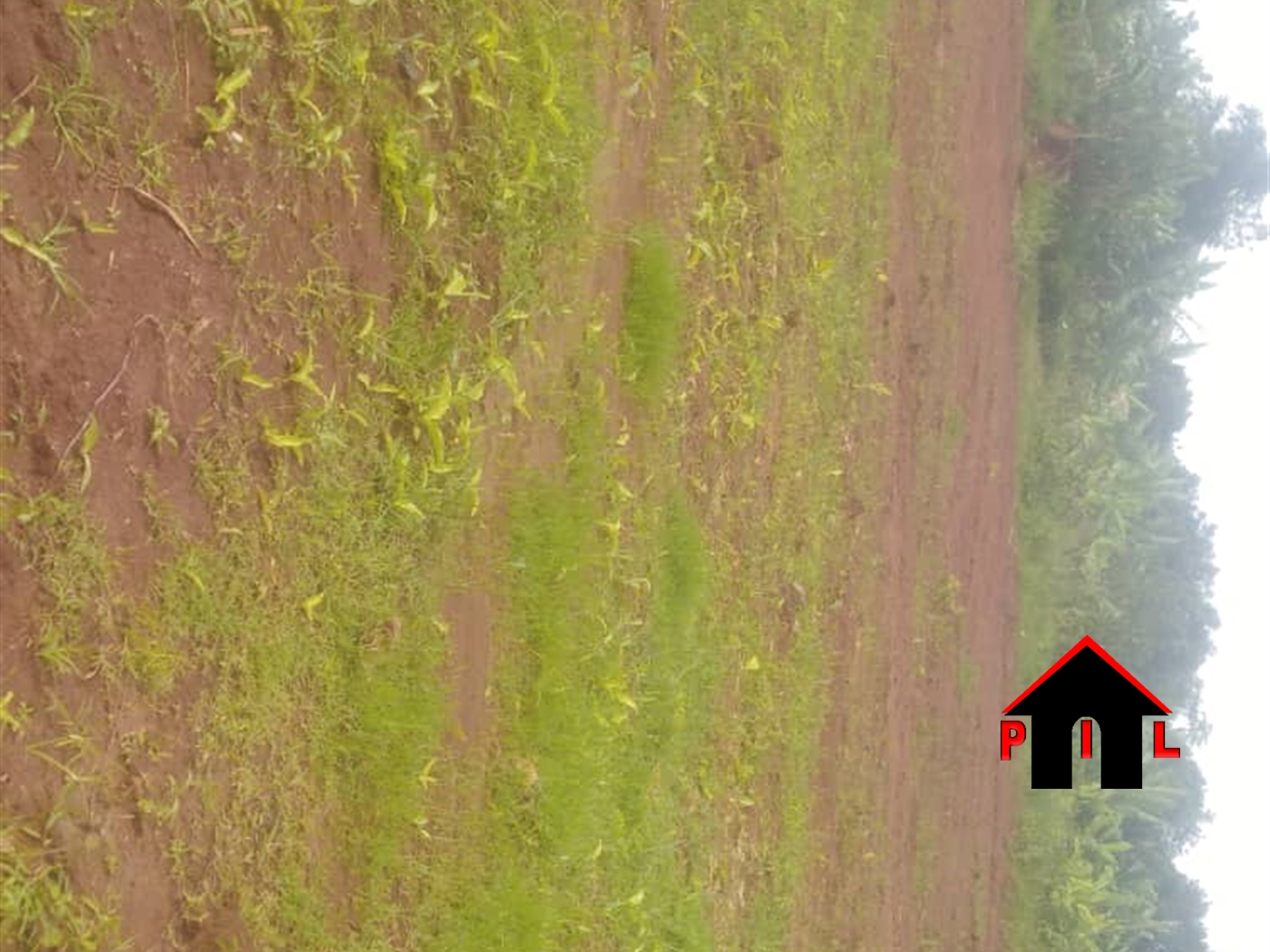 Residential Land for sale in Nakassajja Wakiso