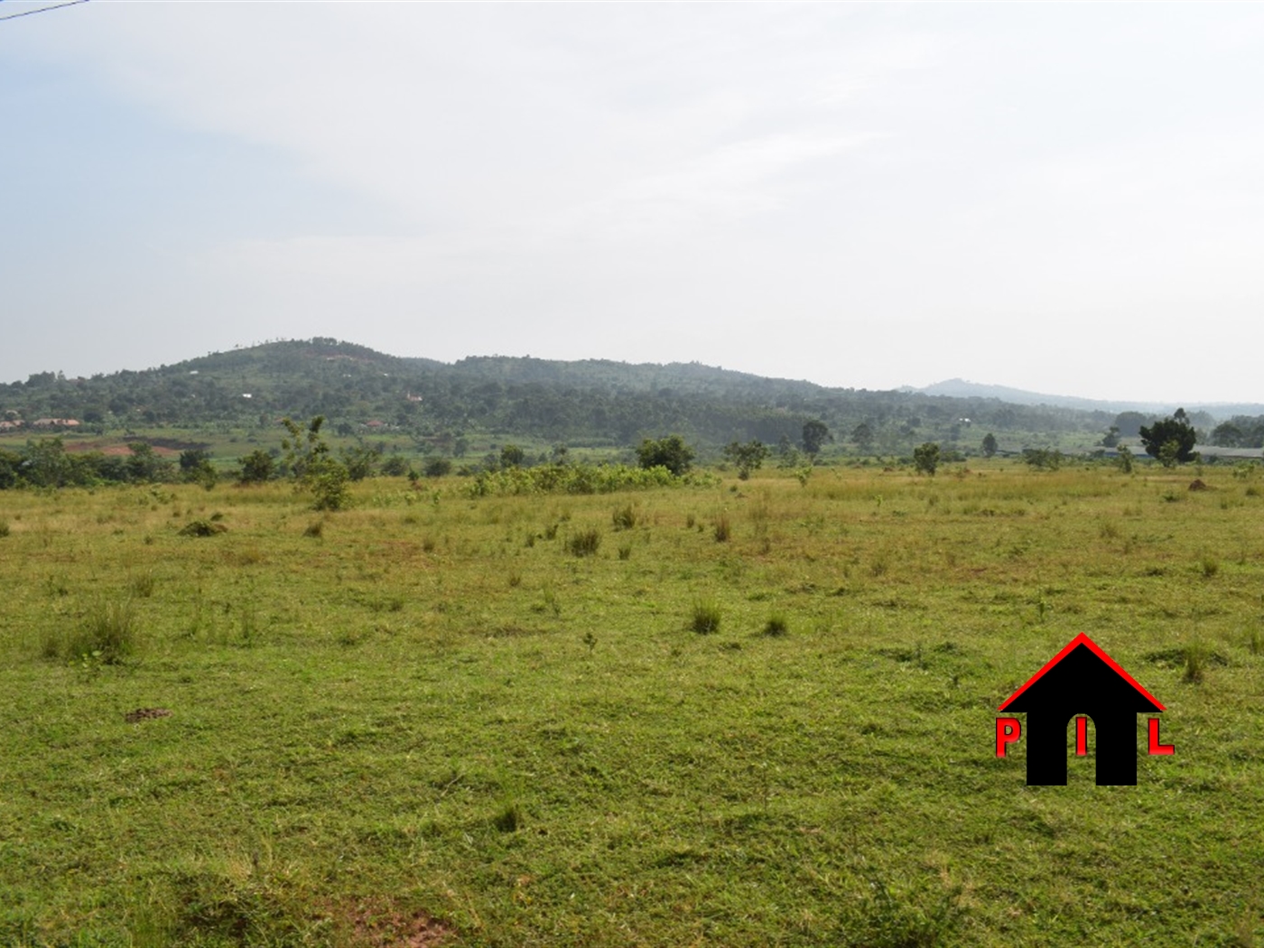 Agricultural Land for sale in Kabweyakiza Mityana