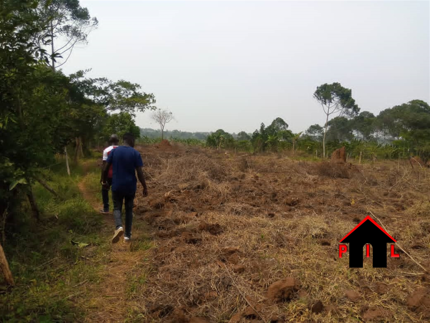 Agricultural Land for sale in Kiganda Mubende