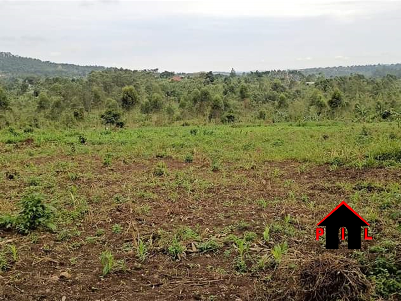 Agricultural Land for sale in Busana Kayunga