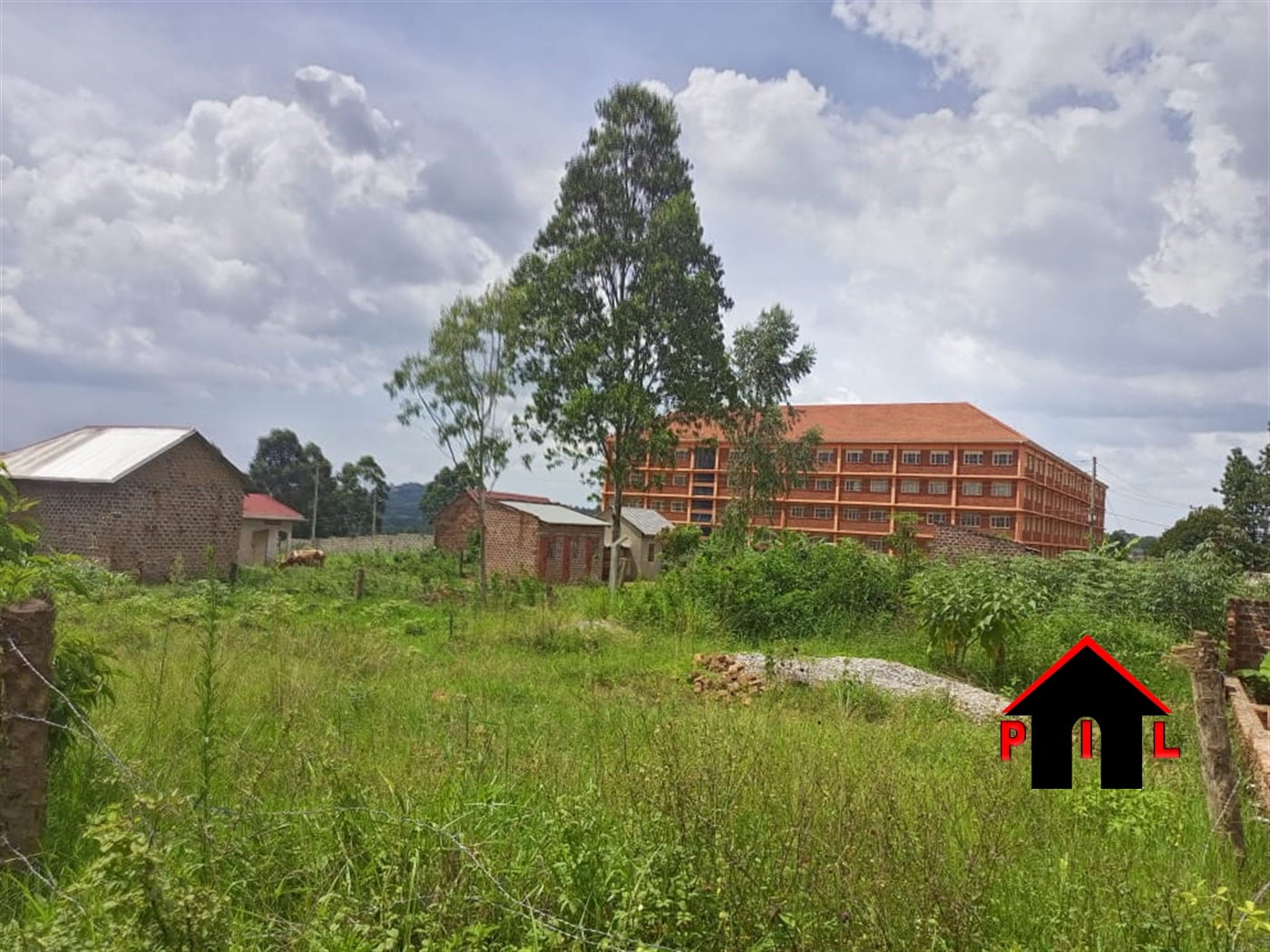 Residential Land for sale in Namulonge Wakiso