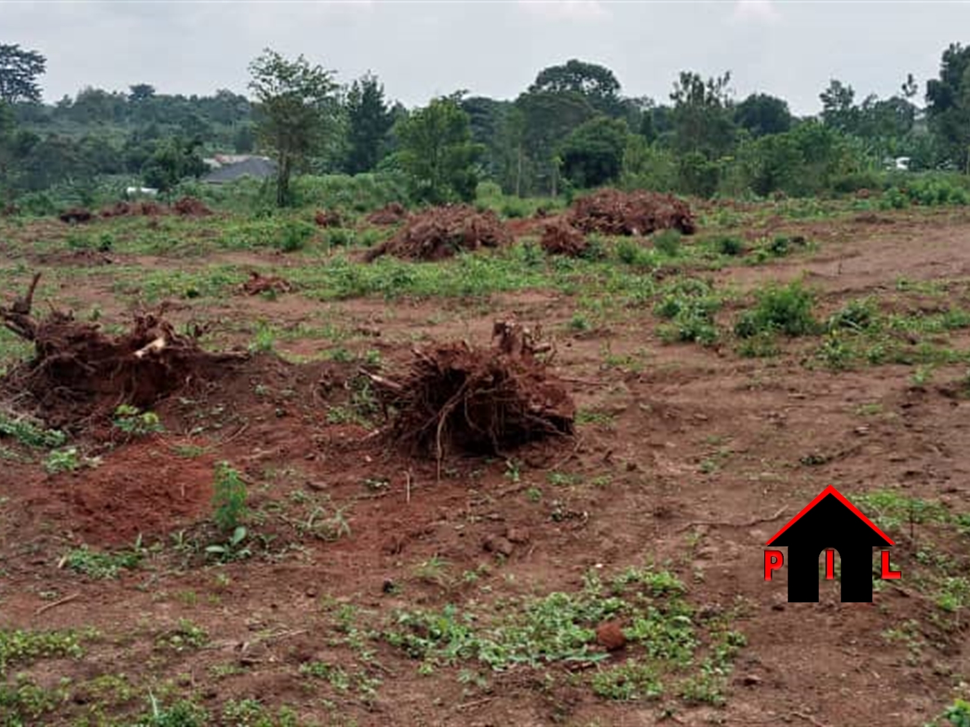 Agricultural Land for sale in Nalutuntu Mityana