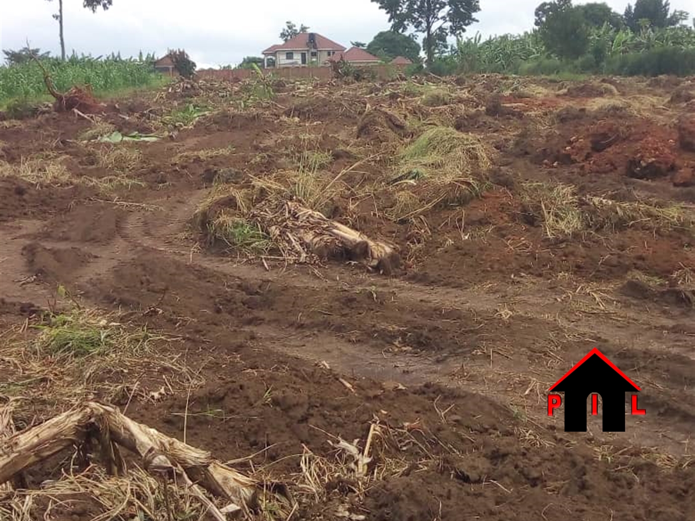 Agricultural Land for sale in Kamugabe Mityana