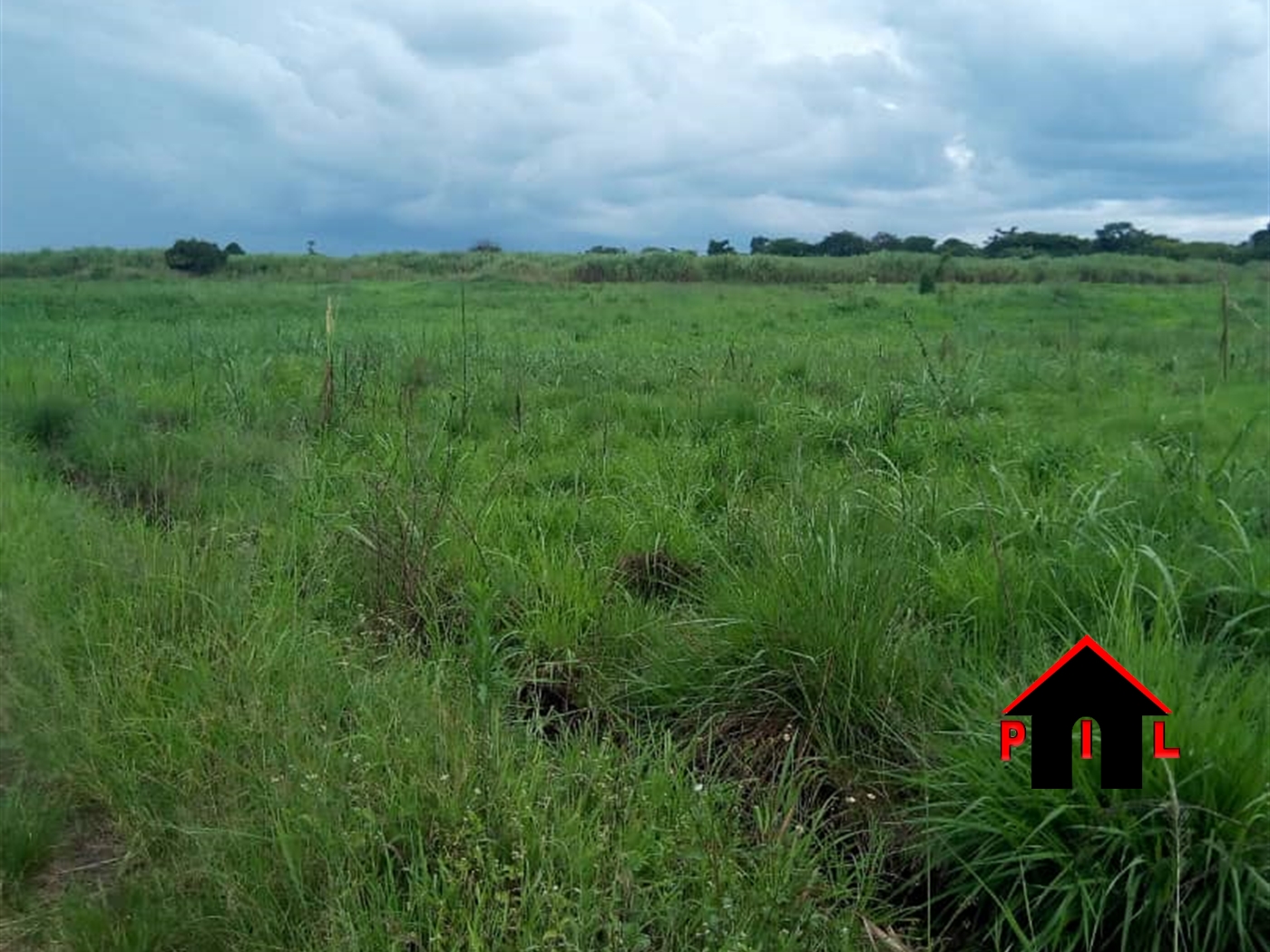 Agricultural Land for sale in Kifampa Gomba