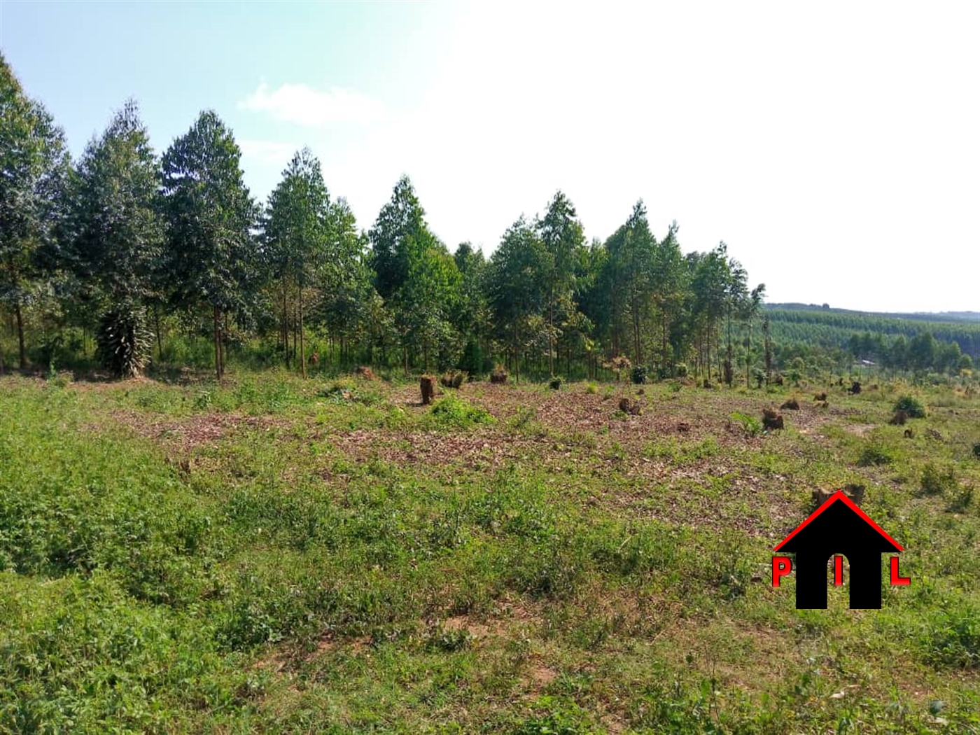 Agricultural Land for sale in Kifampa Gomba