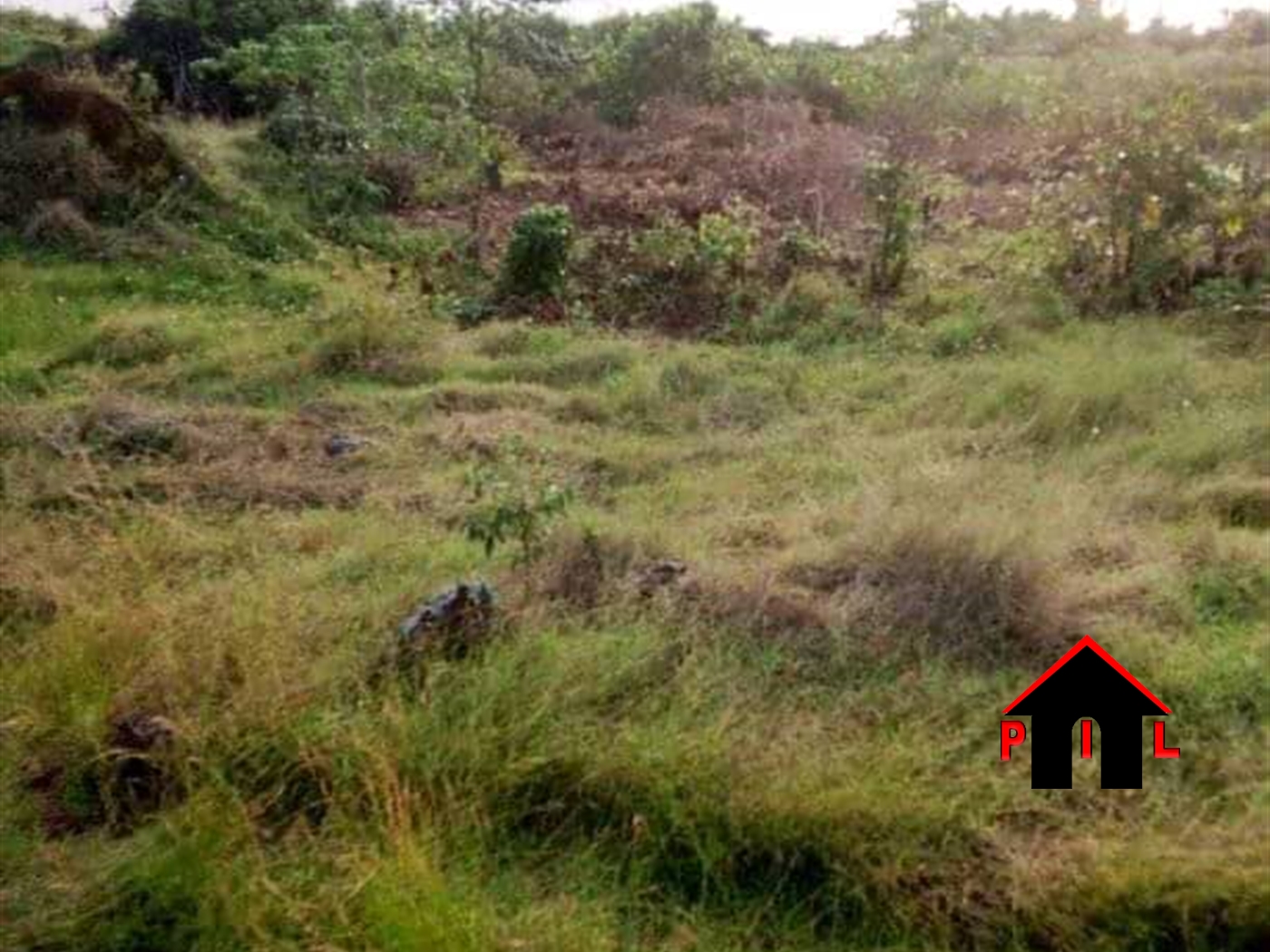 Agricultural Land for sale in Namawojja Luweero