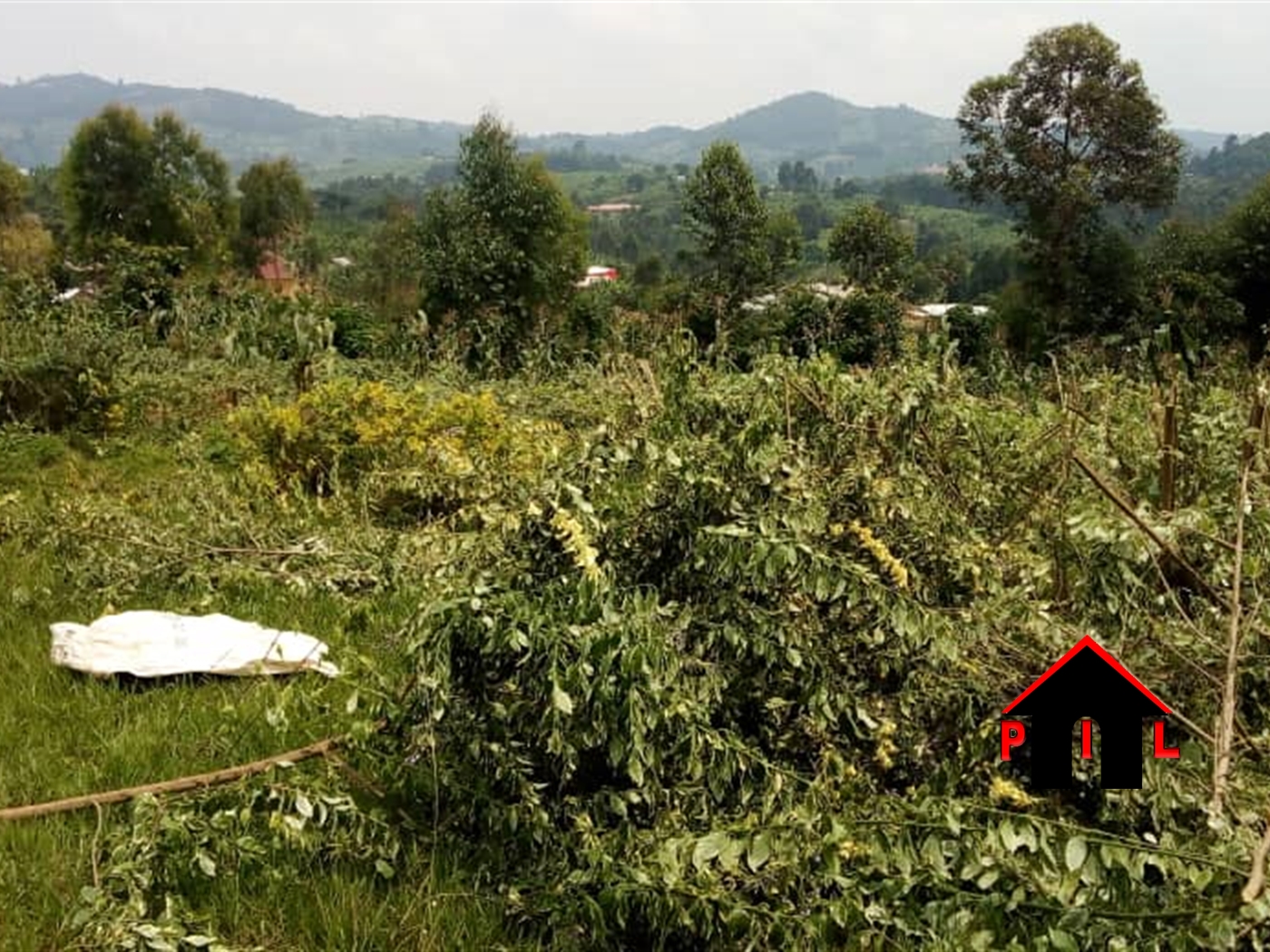 Agricultural Land for sale in Kabuule Mityana