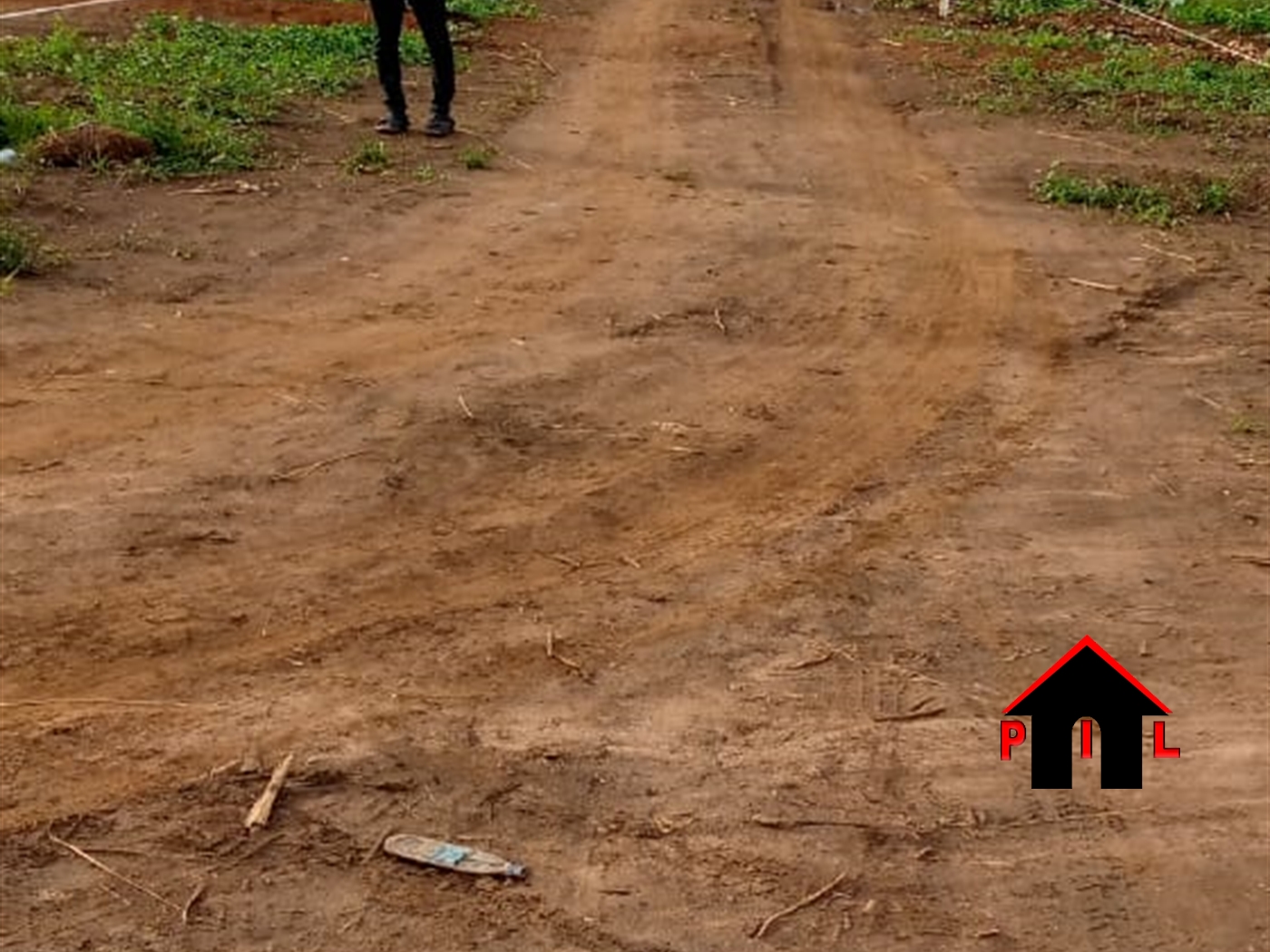 Agricultural Land for sale in Kigalama Mityana