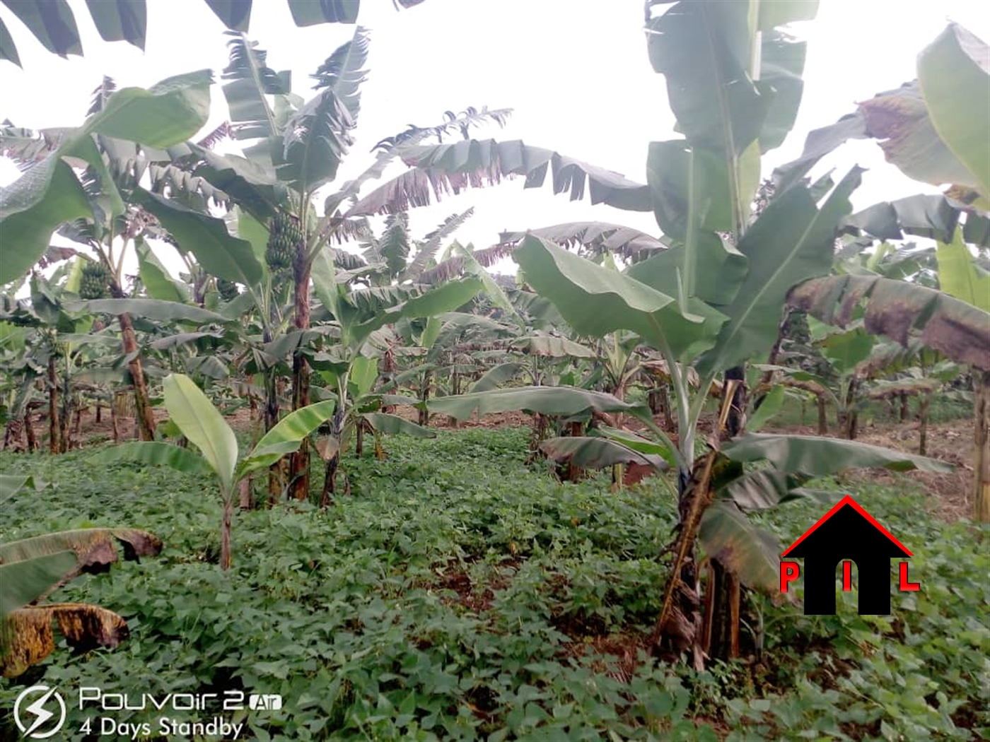 Agricultural Land for sale in Kakakala Luweero