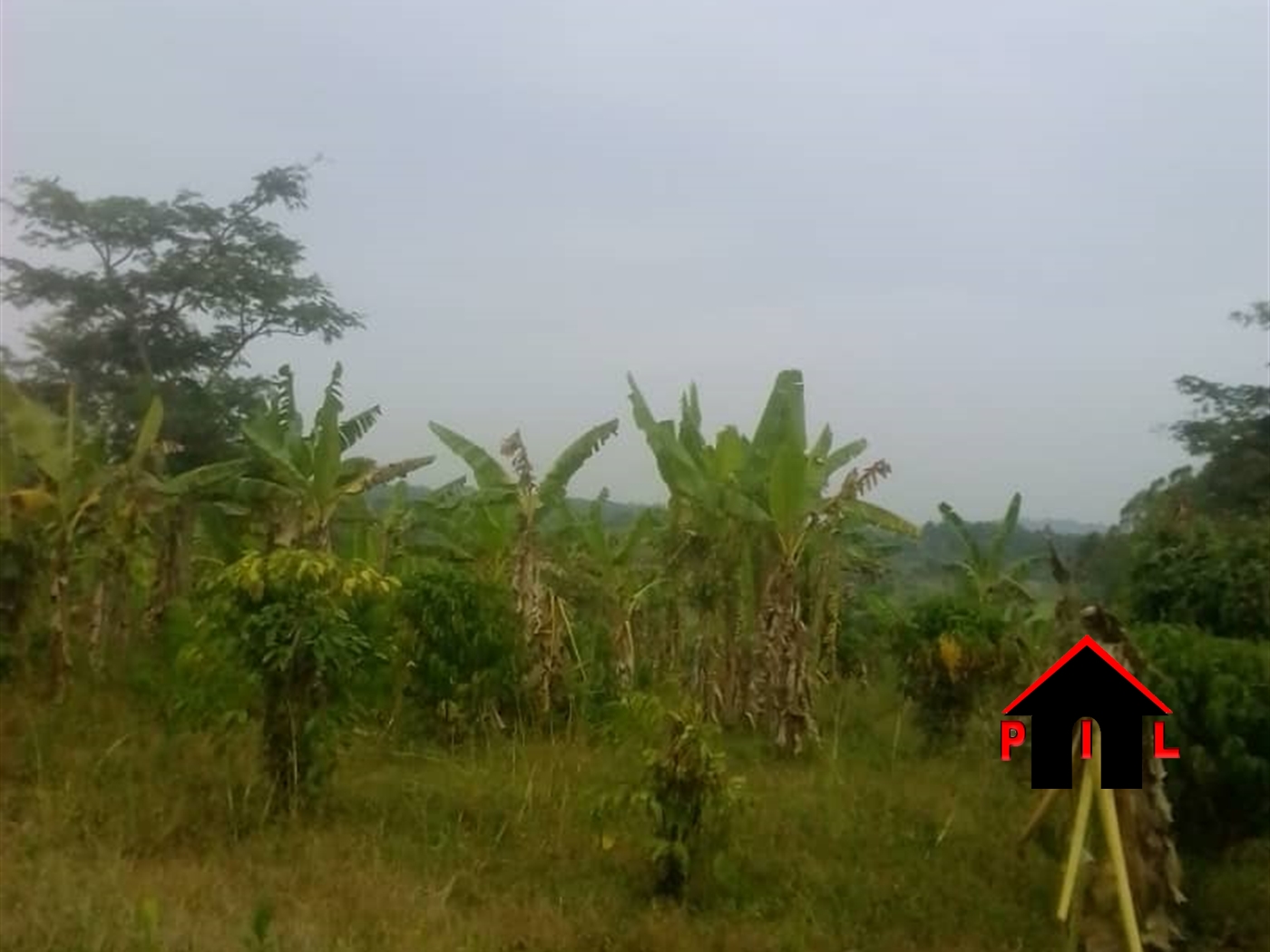 Agricultural Land for sale in Ndejje Luweero
