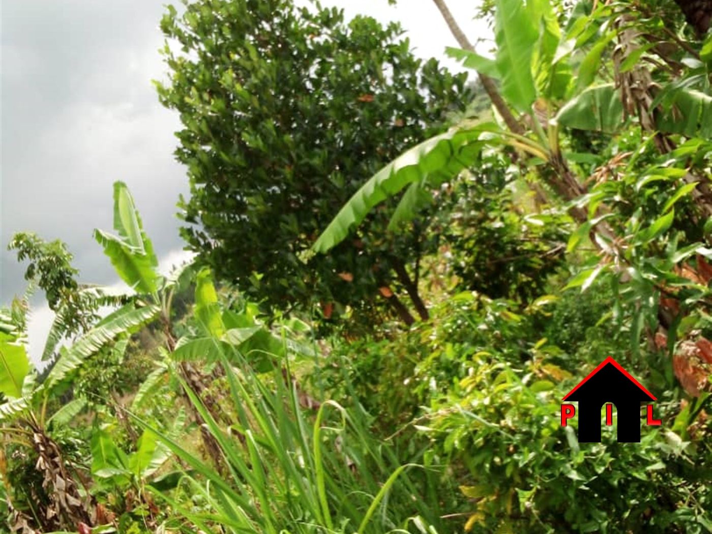 Residential Land for sale in Buwaali Wakiso