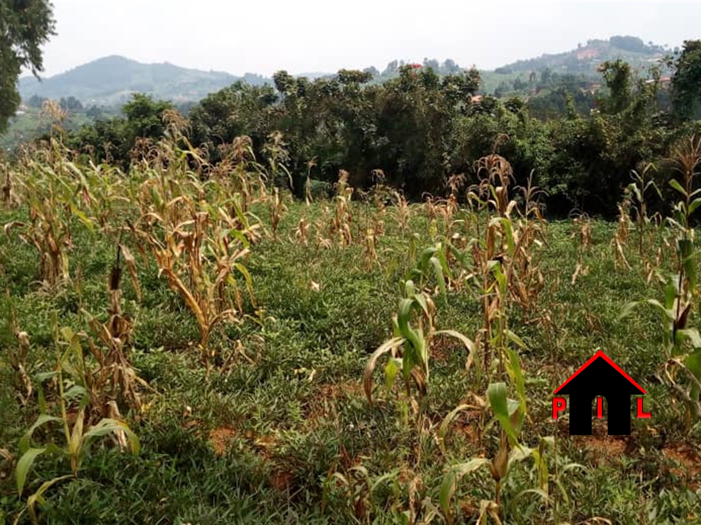 Agricultural Land for sale in Kaganga Rukungiri