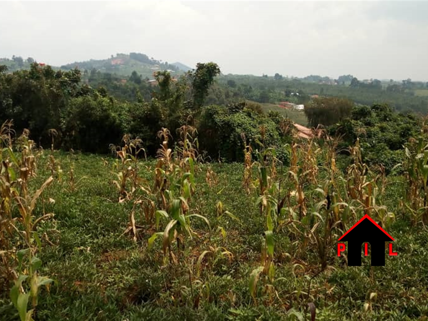 Residential Land for sale in Kaganga Rukungiri