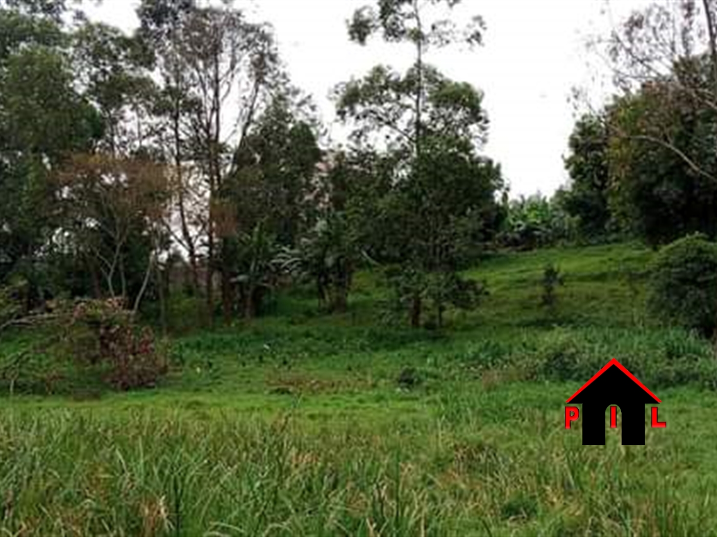 Residential Land for sale in Kisaasi Kampala