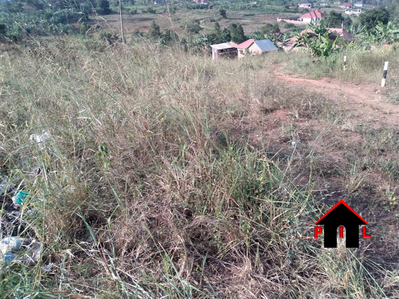 Agricultural Land for sale in Bugema Luweero