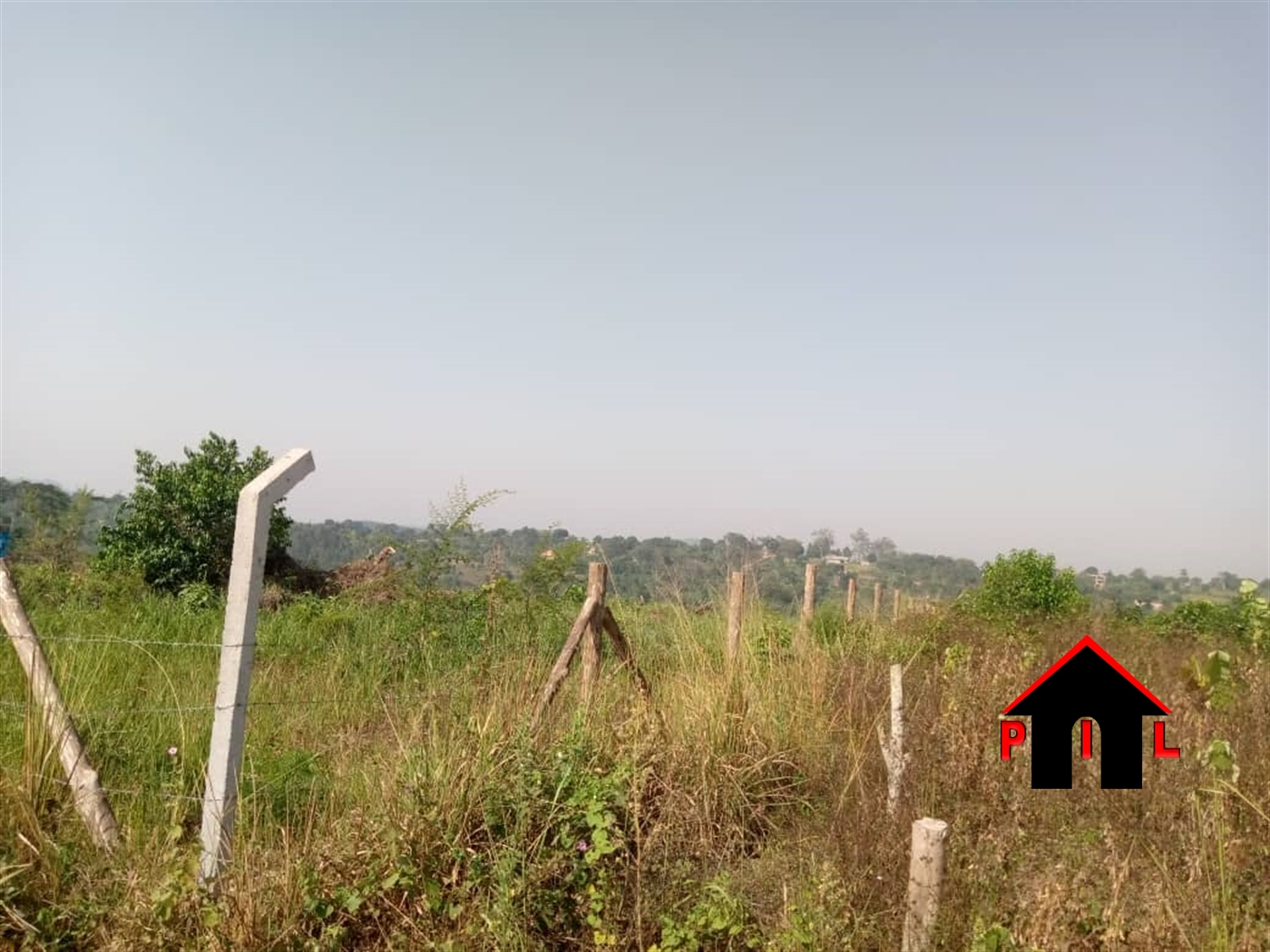 Agricultural Land for sale in Buwalula Mityana
